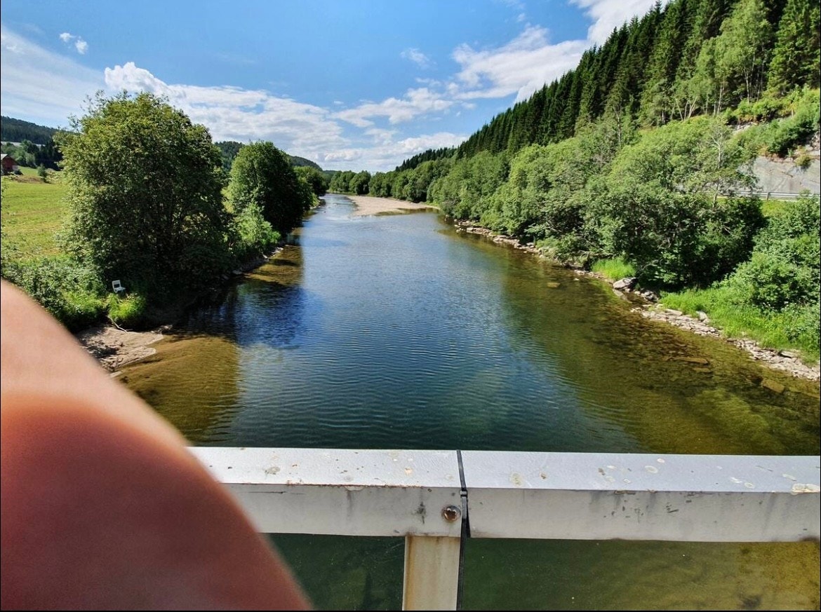 Nære område Seter bru Galleribilde