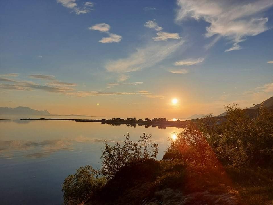 Herlig utsikt Galleribilde