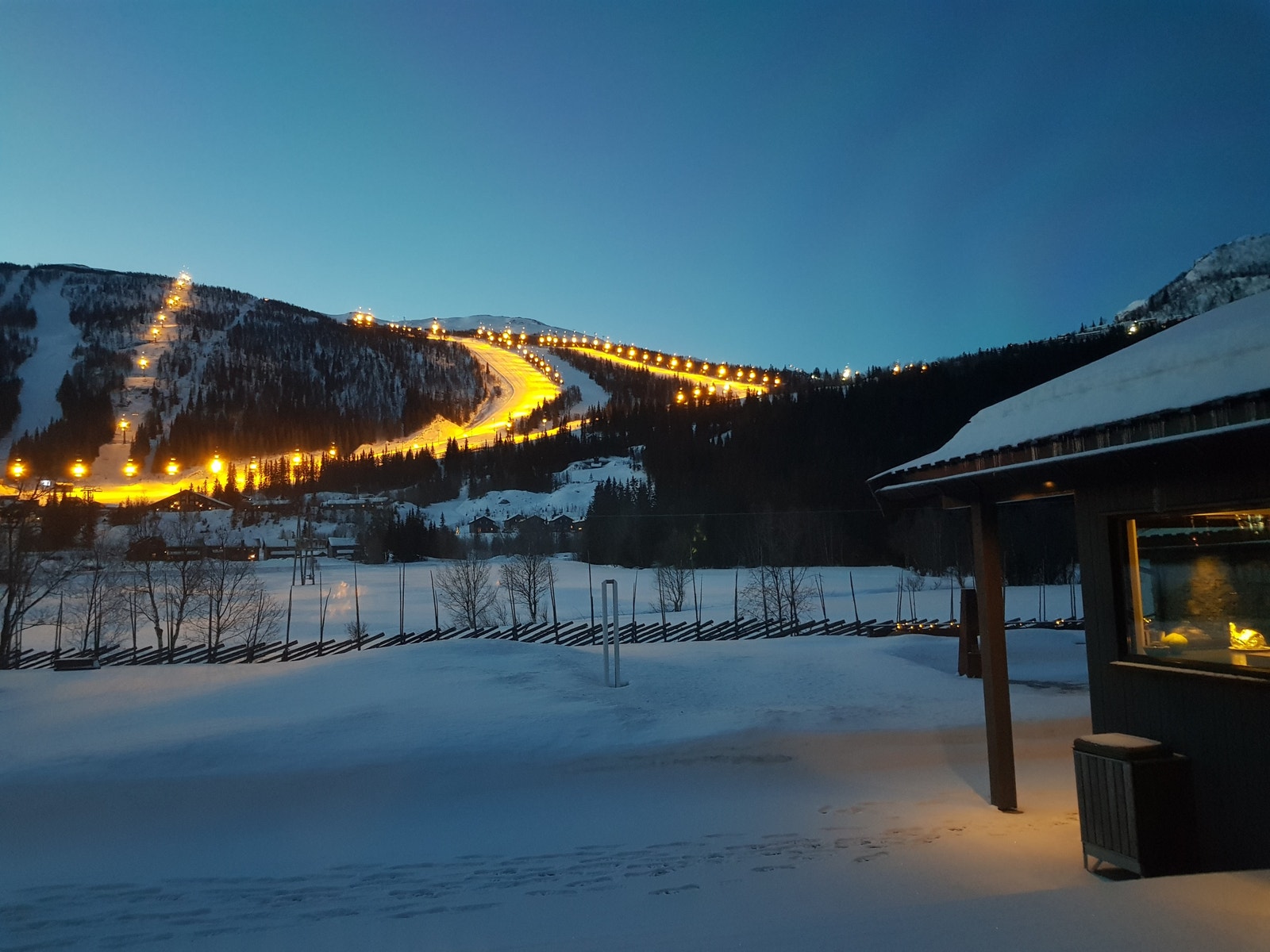 Utsikt til skibakken fra hytten Galleribilde