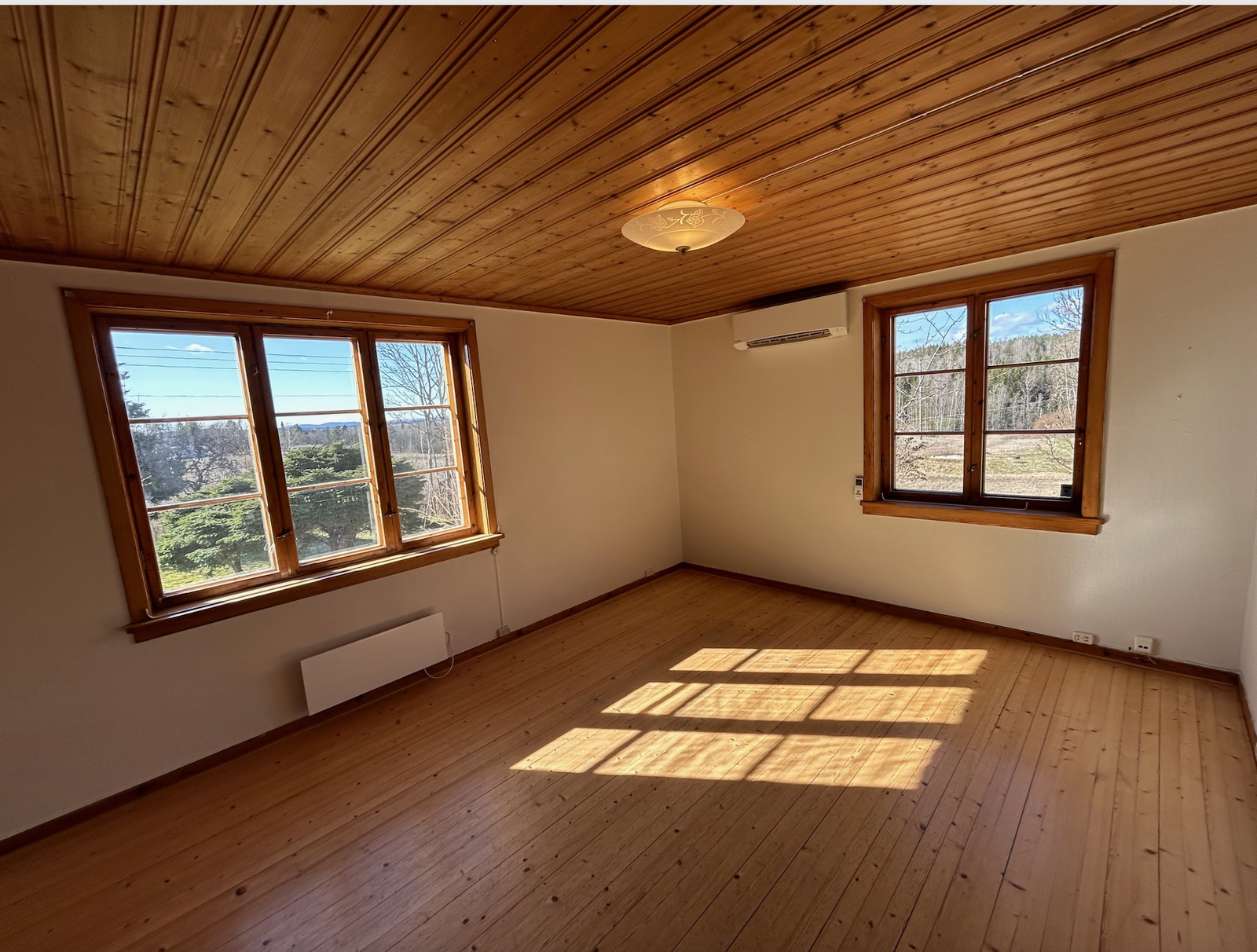 Den ene stua Galleribilde