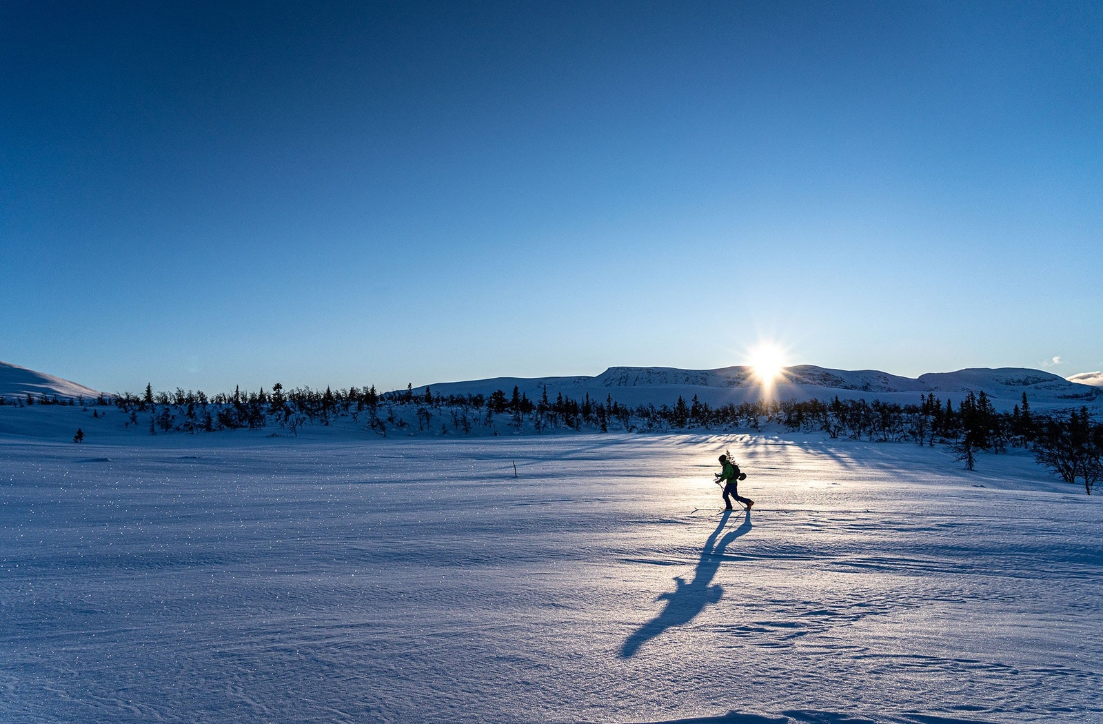 ...og gode moglegheiter for å tråkke sine eigne spor. Galleribilde