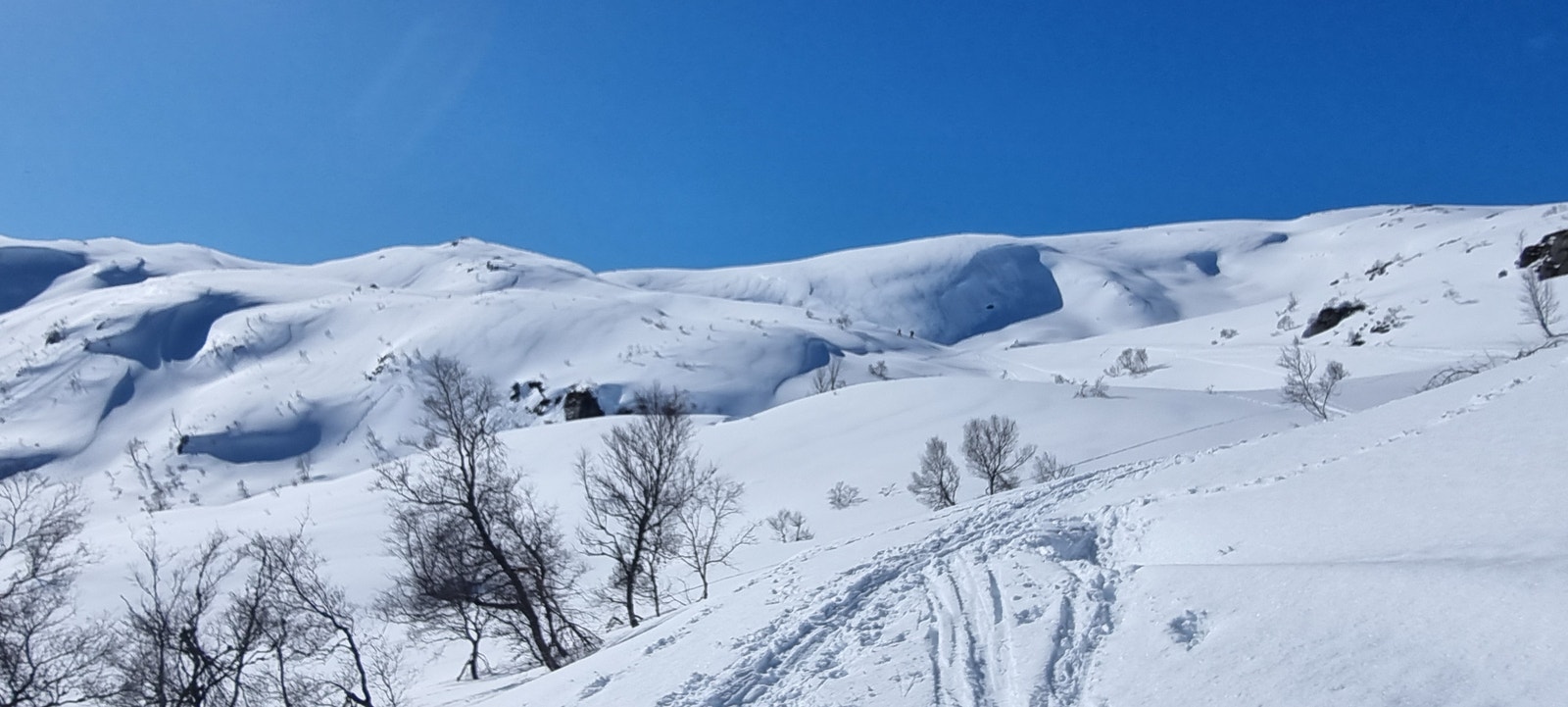 Fine tur-muligheter Galleribilde