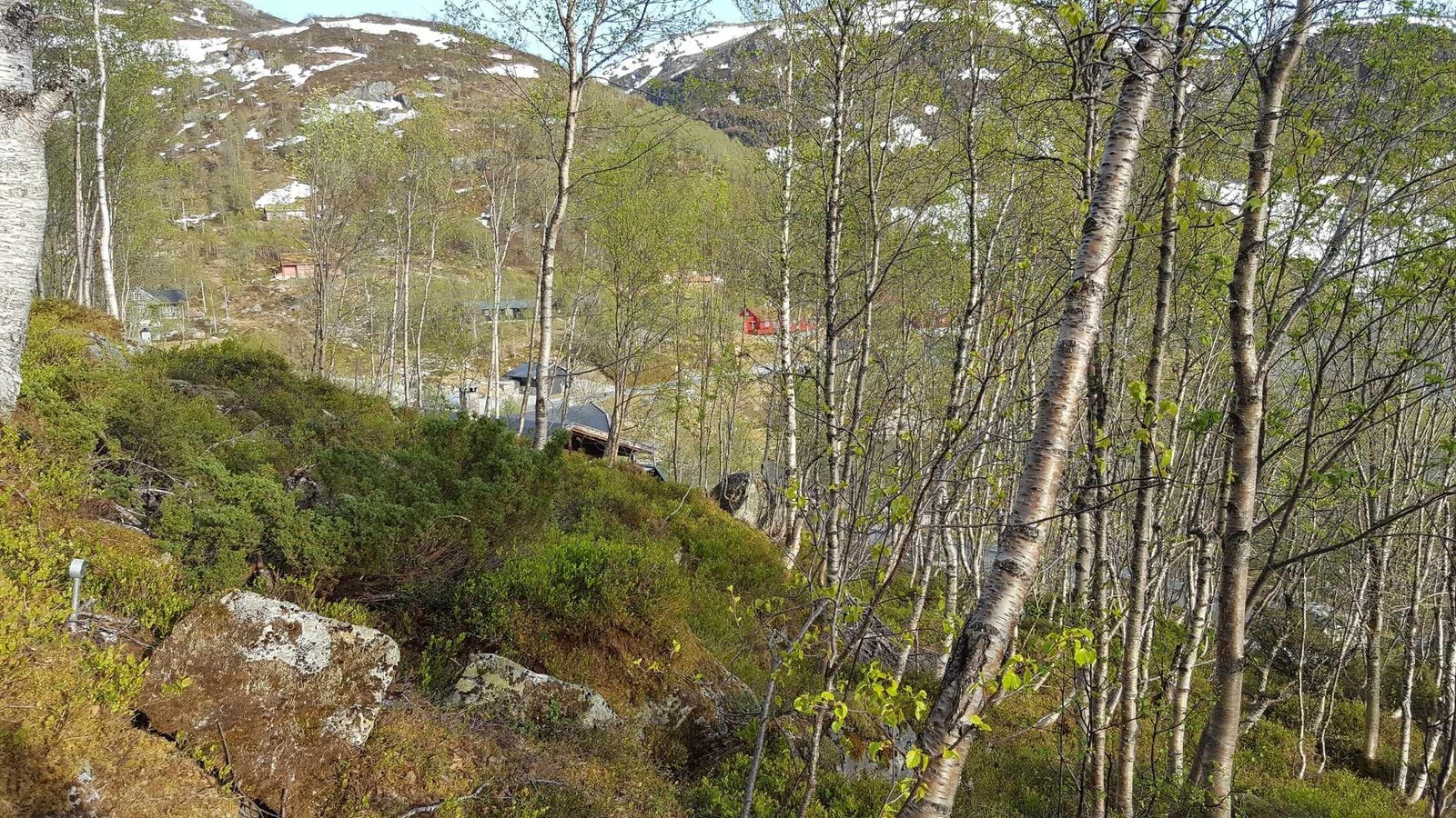 Mot Stordalen Fjellstove Galleribilde