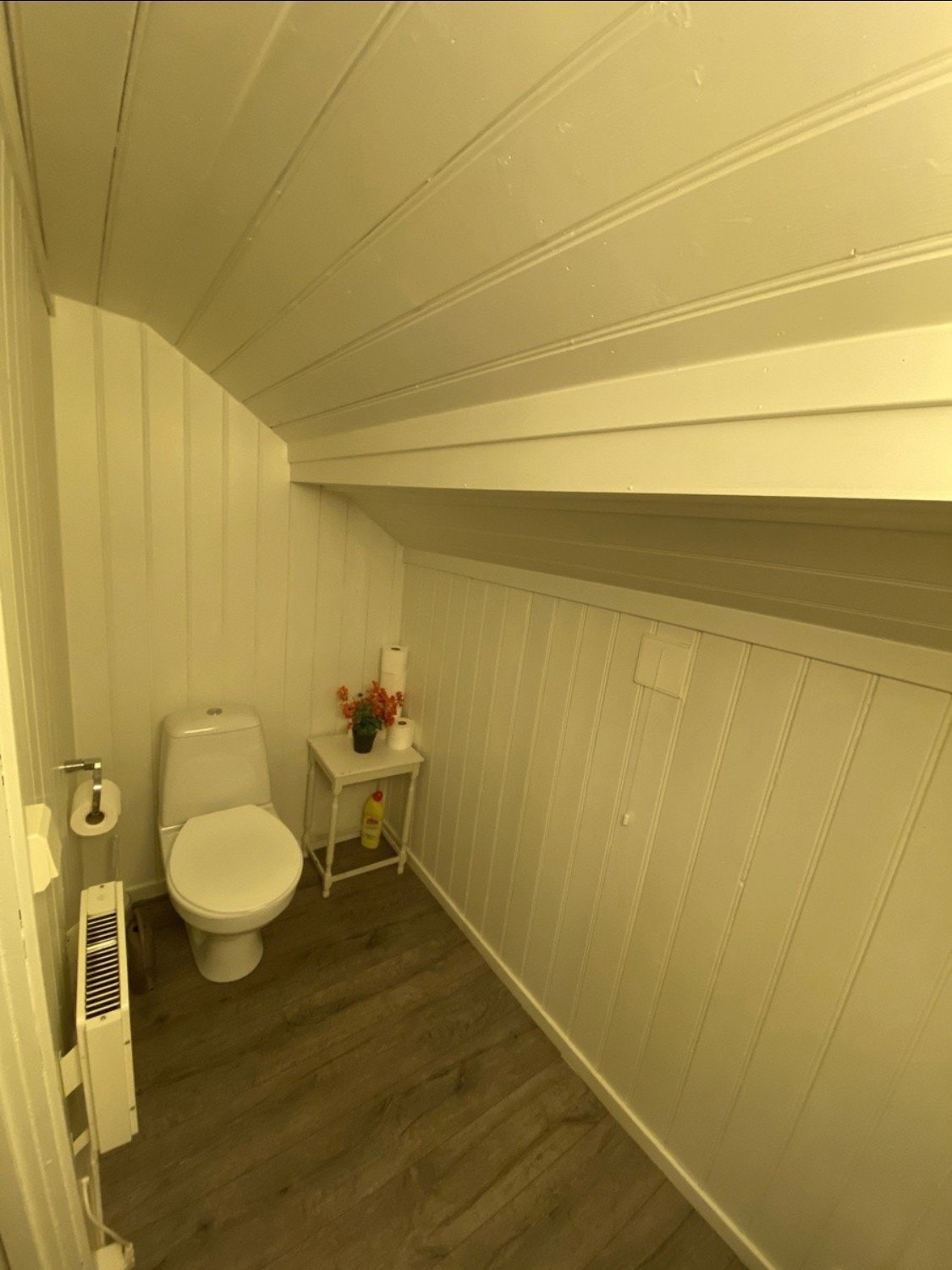 Toalett Galleribilde