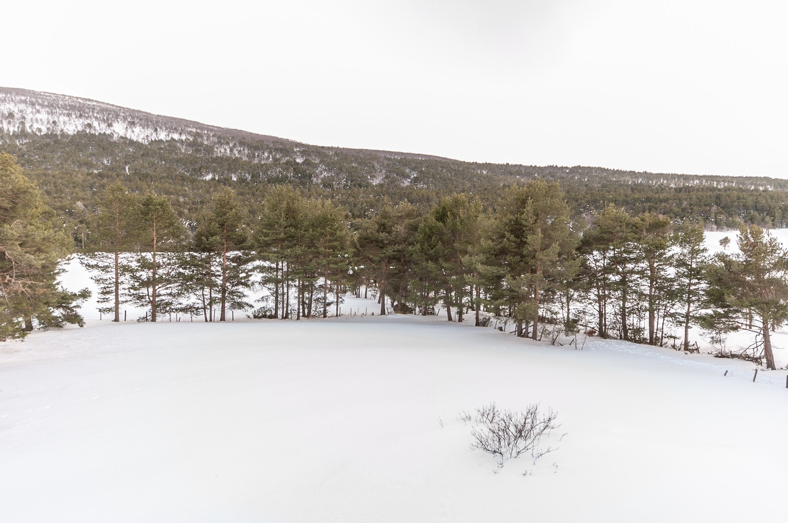 Tomt mot sør-vest Galleribilde
