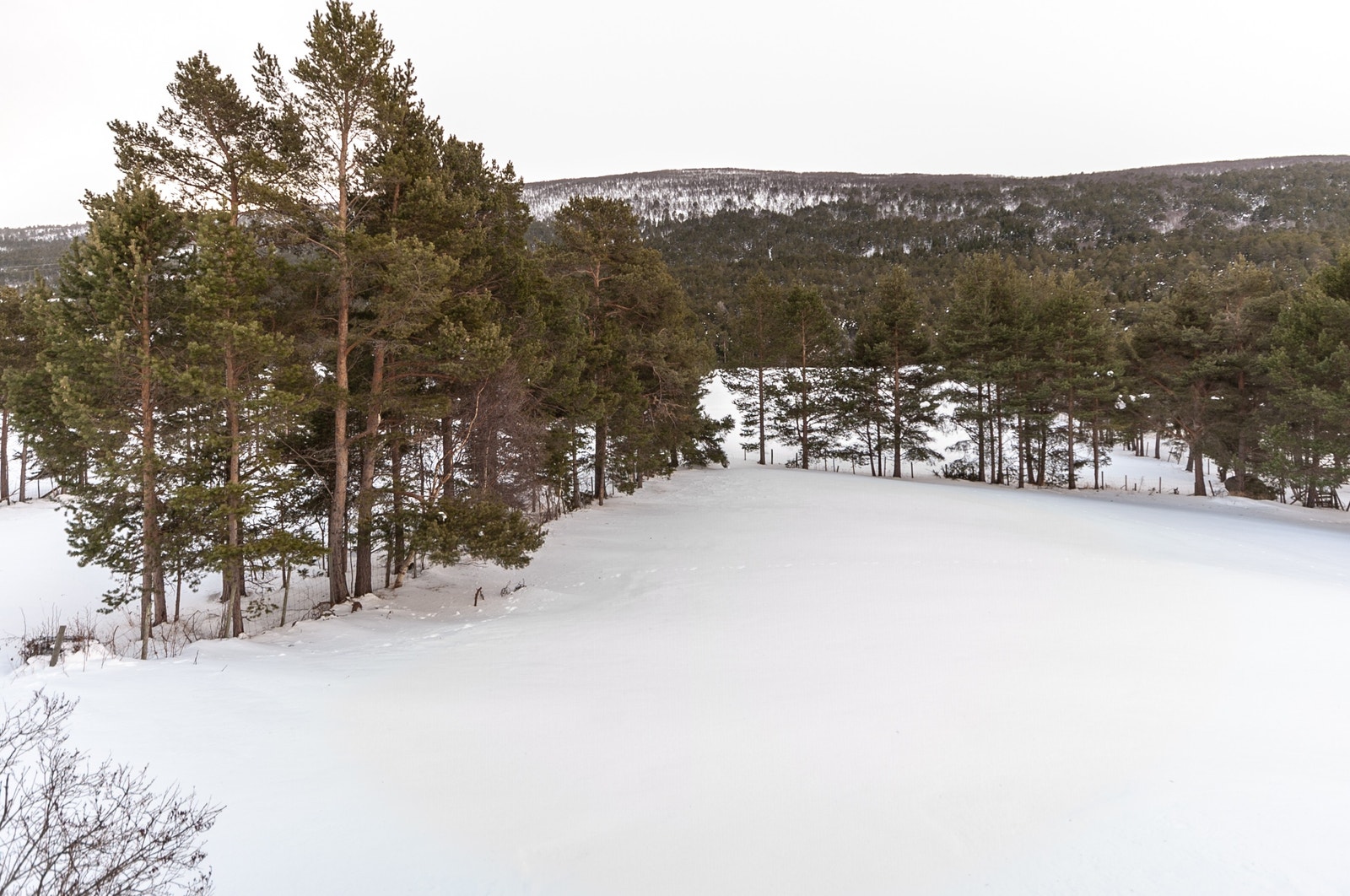 Tomt mot sør-øst Galleribilde