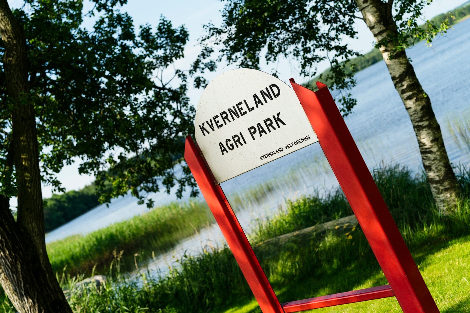 Område Galleribilde