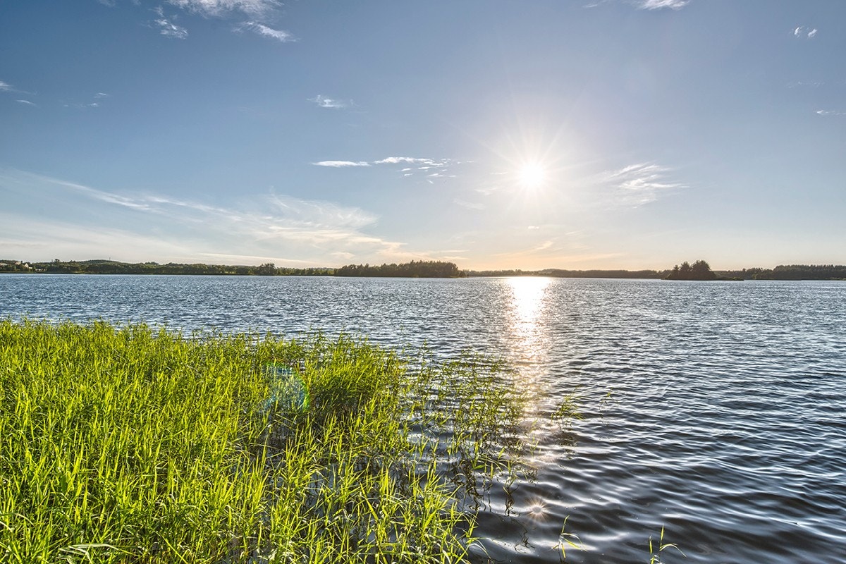 Område Galleribilde