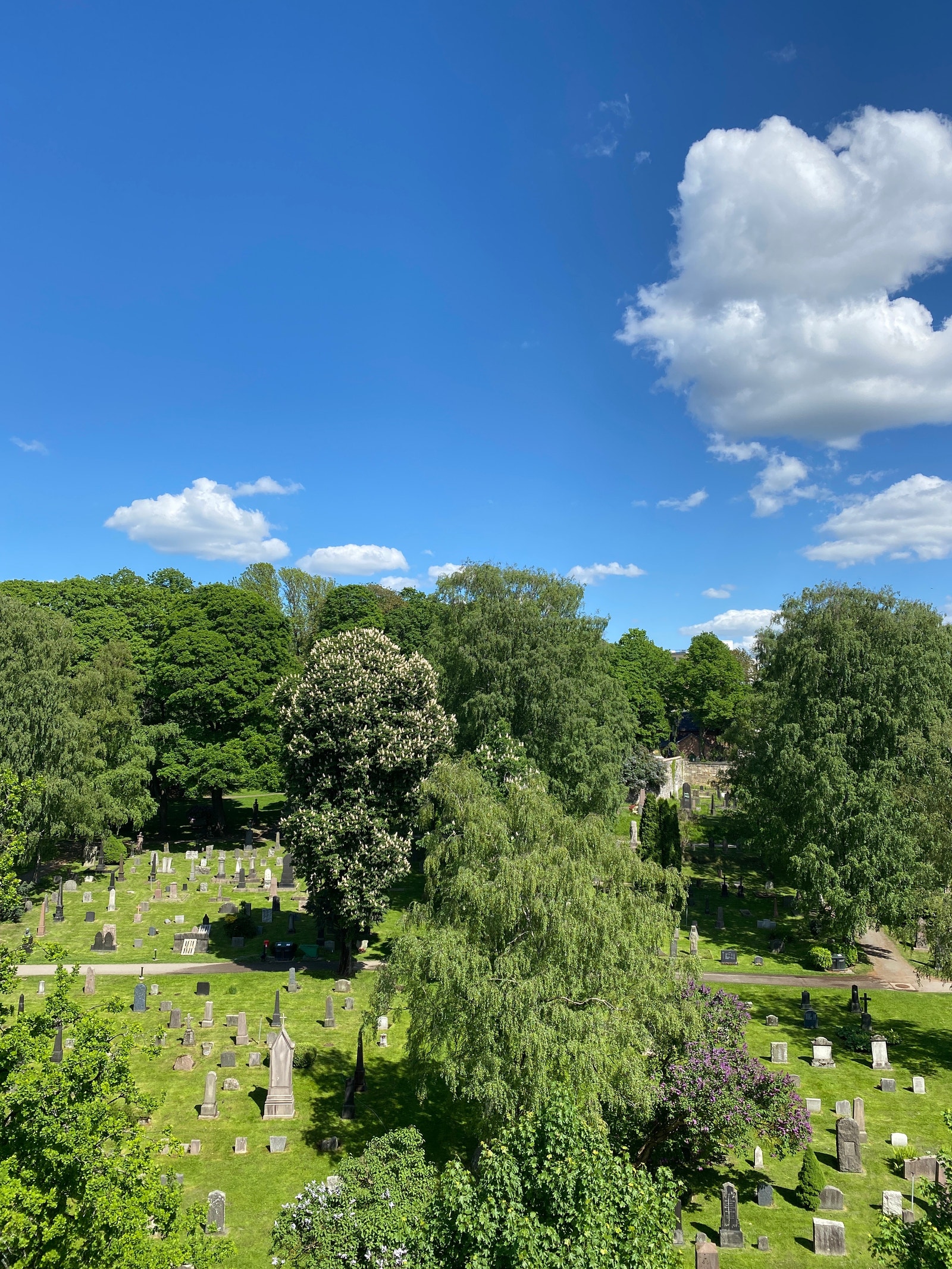 Utsyn fra kjøkken og 2 av soverommene. Galleribilde