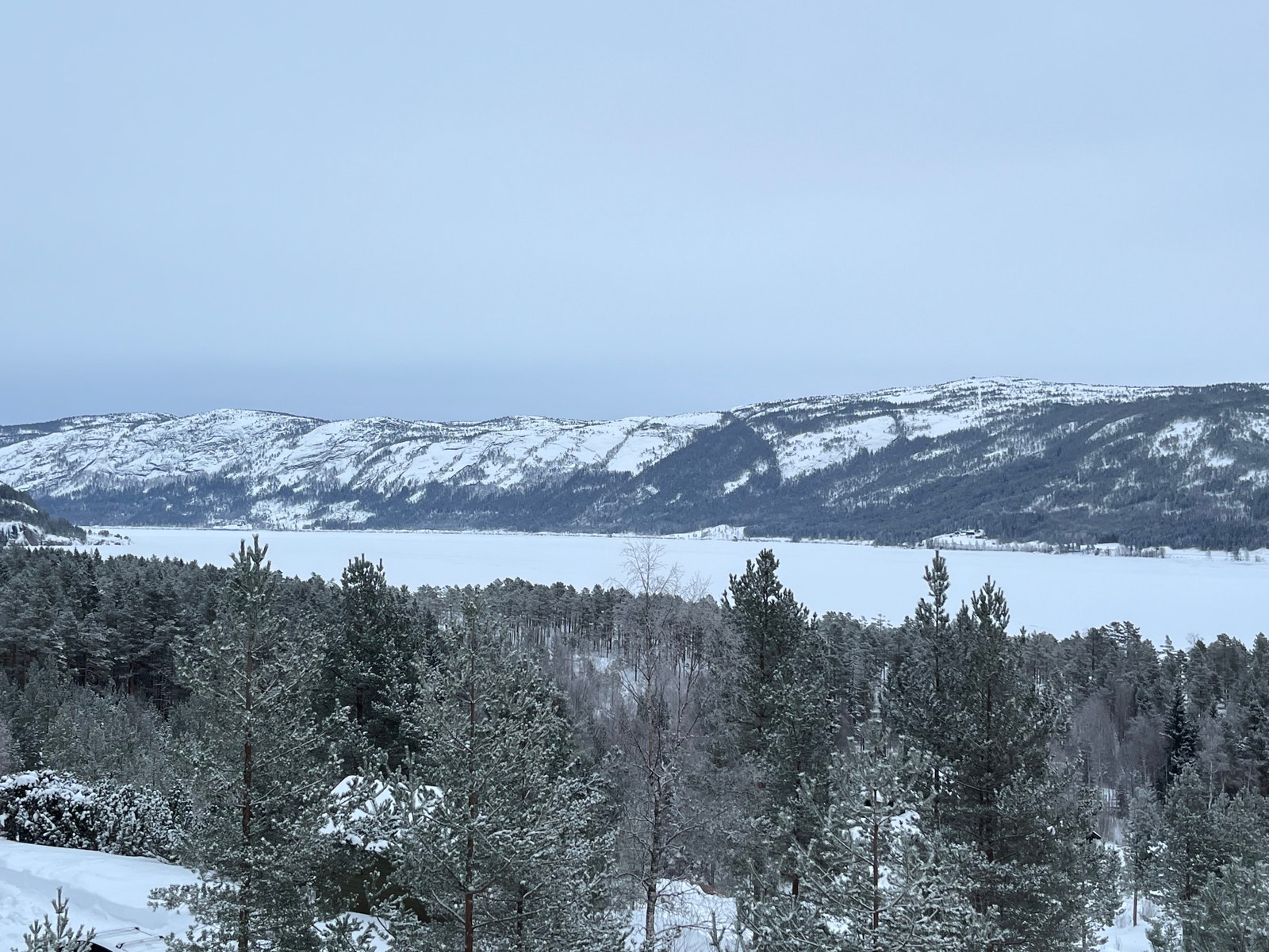 Områdebilde Galleribilde