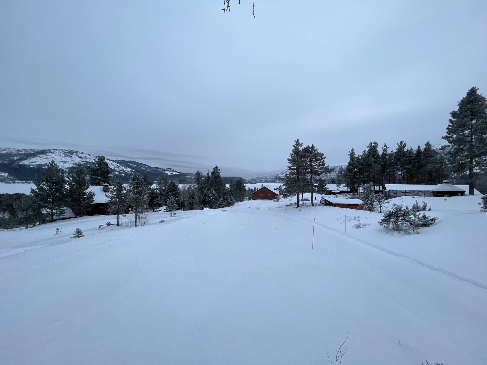 Områdebilde Galleribilde