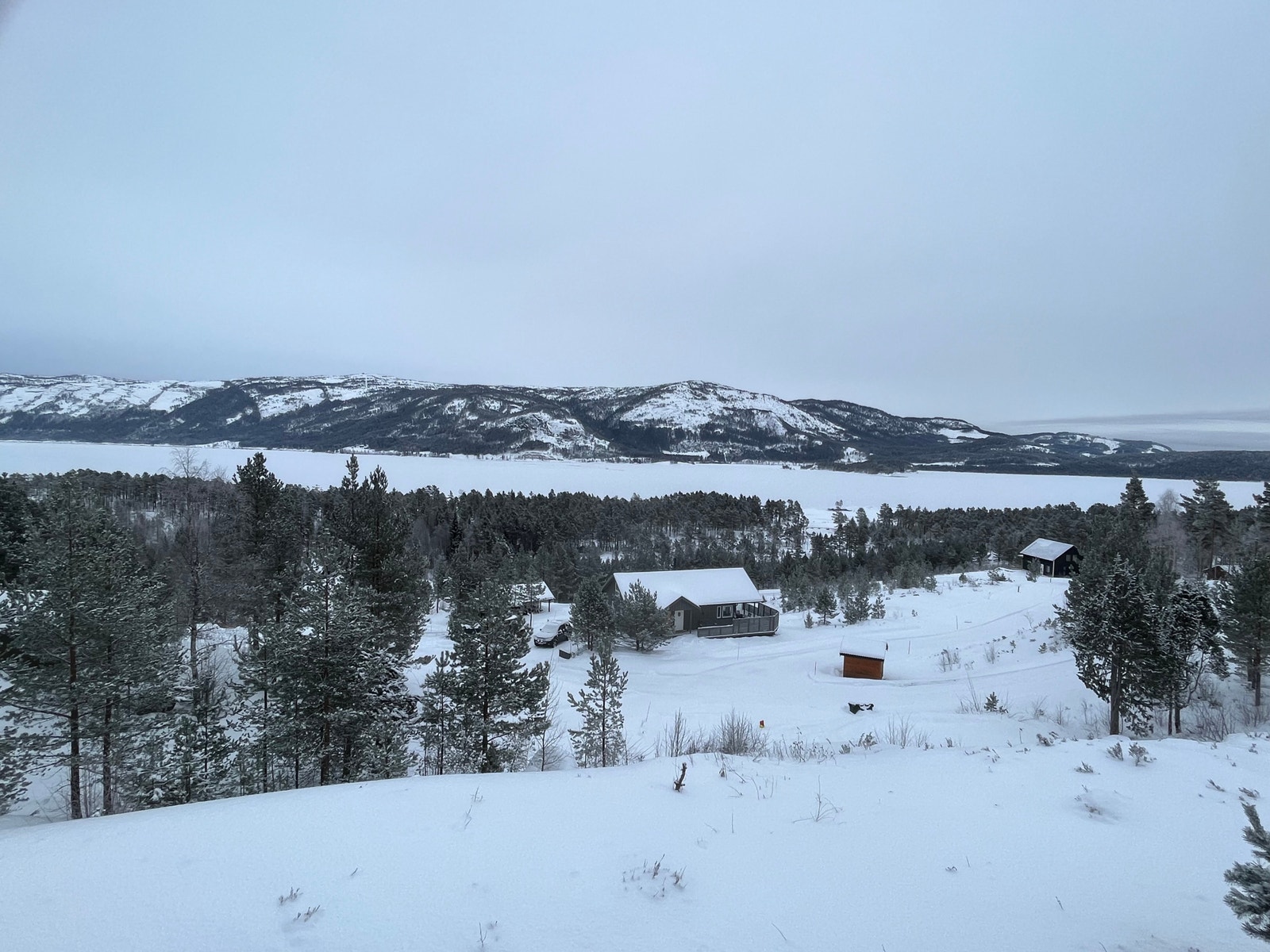 Områdebilde Galleribilde