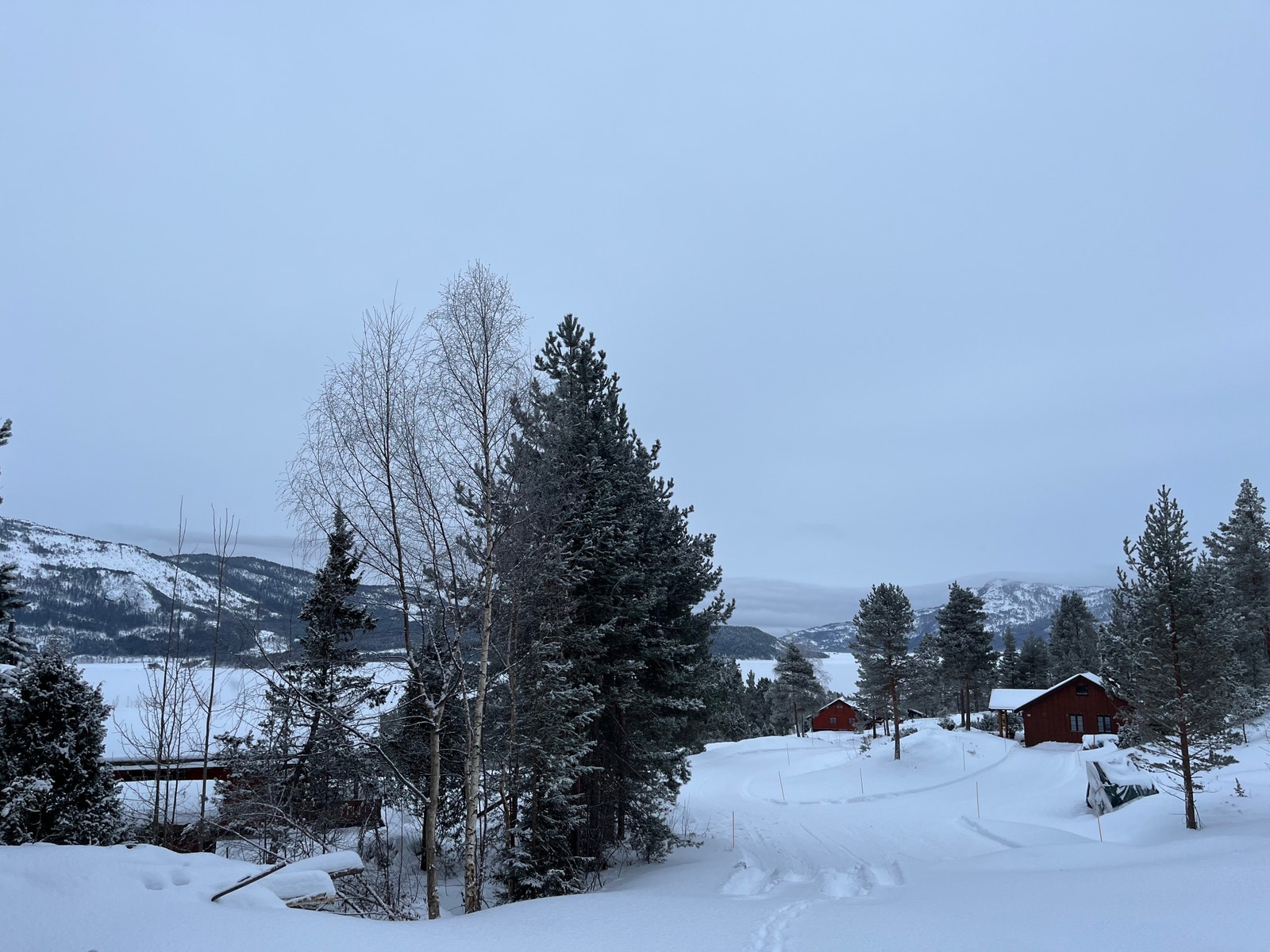Utsiktbilde fra en av tomtene, selger vil fjerne deler av vegetasjonen i venstre halvdel av bildet. Galleribilde
