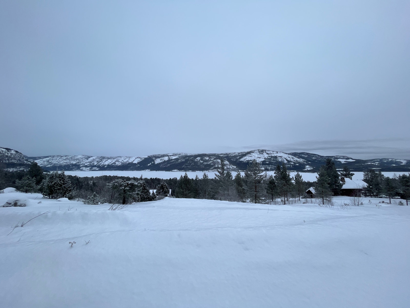 Områdebilde Galleribilde