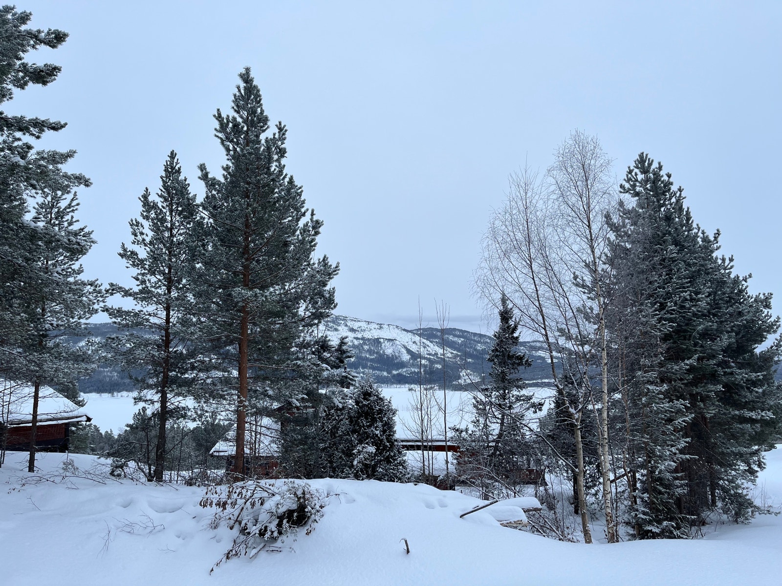 Utsiktbilde fra en av tomtene Galleribilde