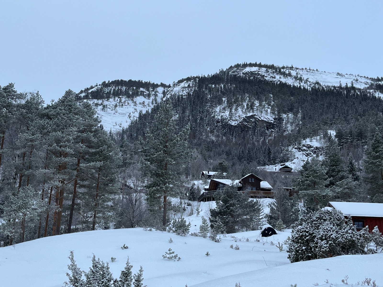 Områdebilde Galleribilde