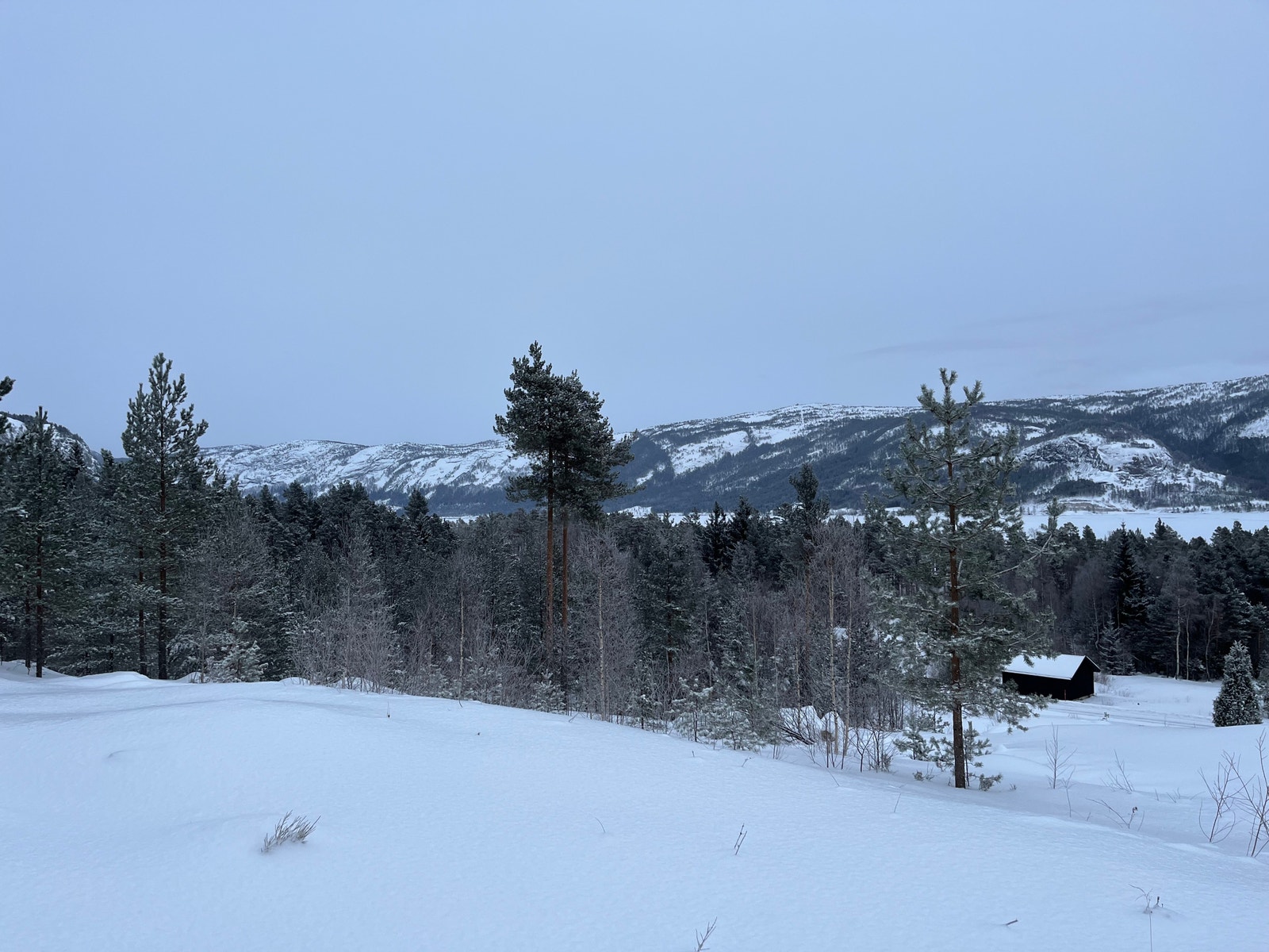 Utsiktbilde fra en av tomtene Galleribilde