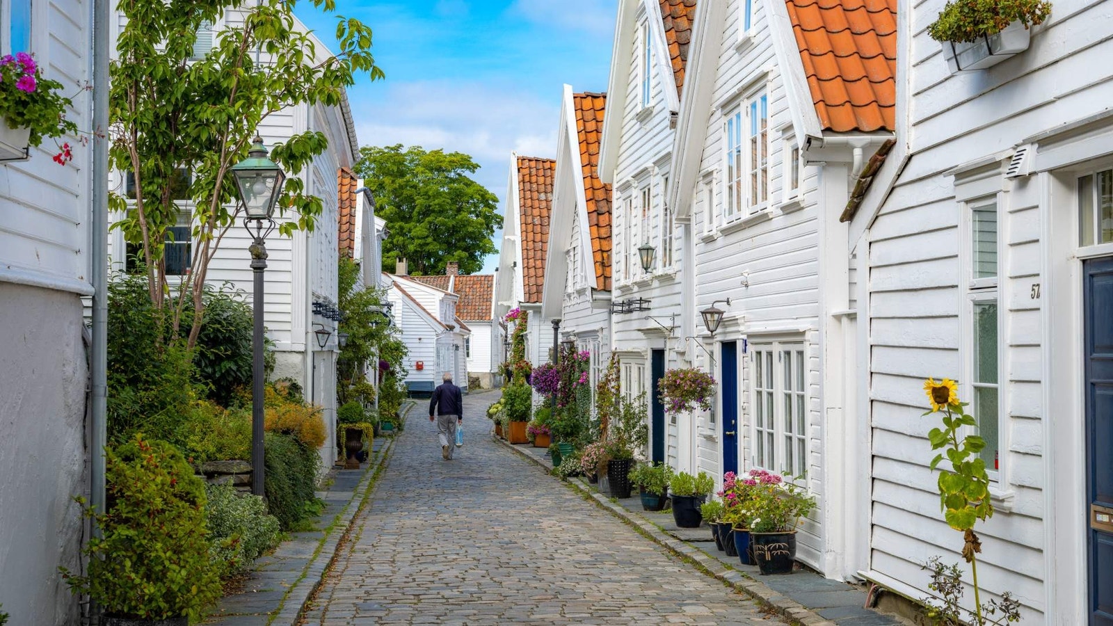Område rundt Galleribilde