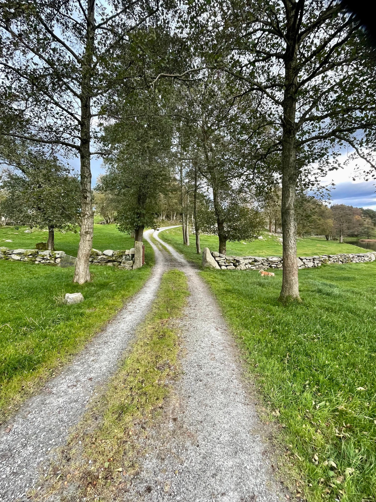 Veien opp til hytta Galleribilde