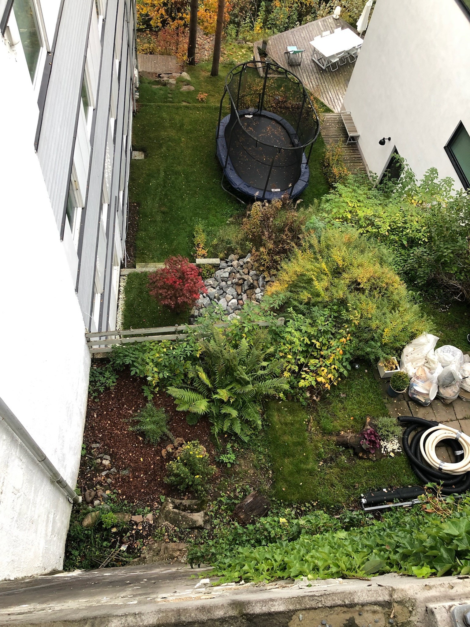Felles hage med trampoline Galleribilde