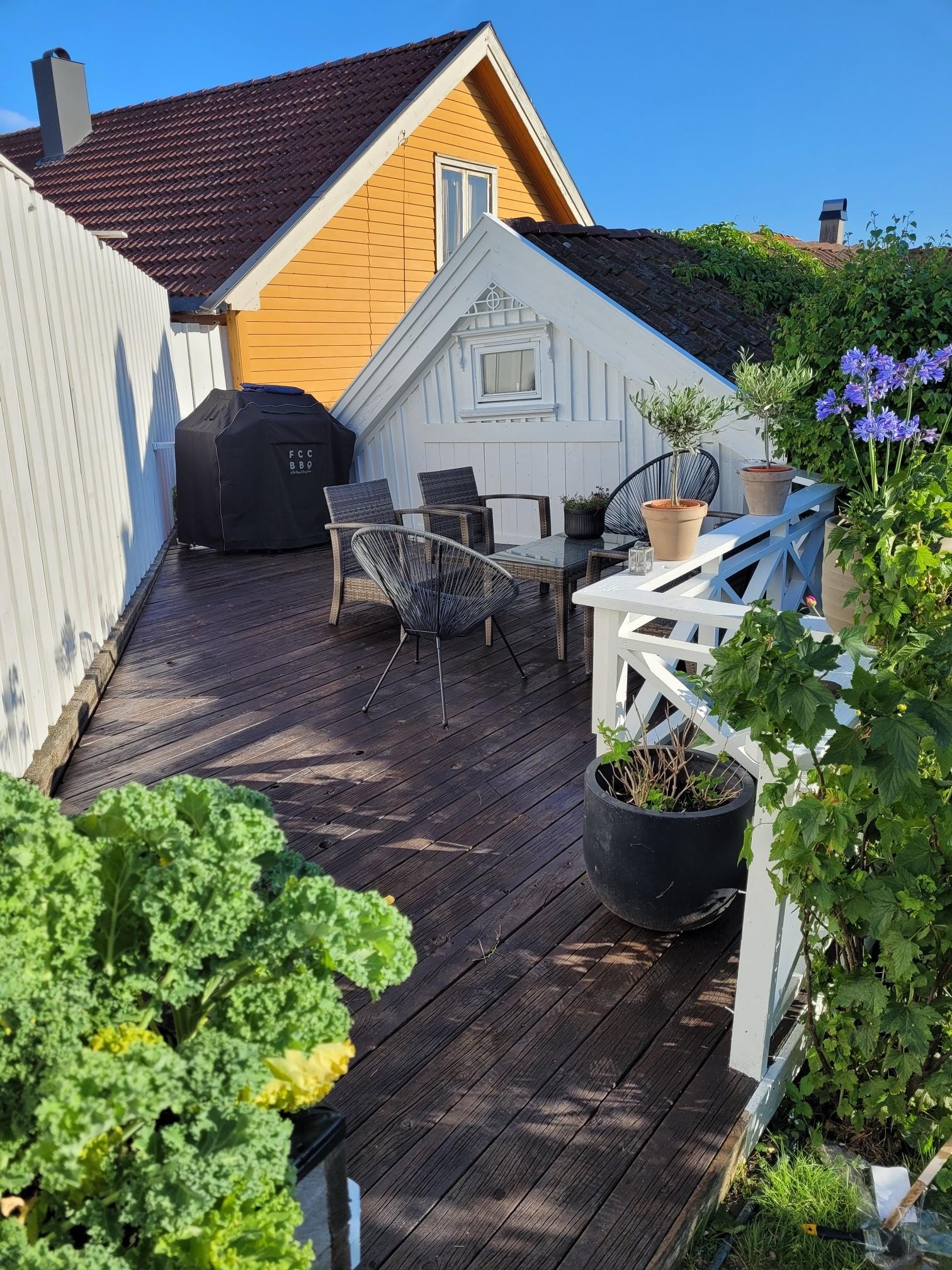 Terrassen Galleribilde