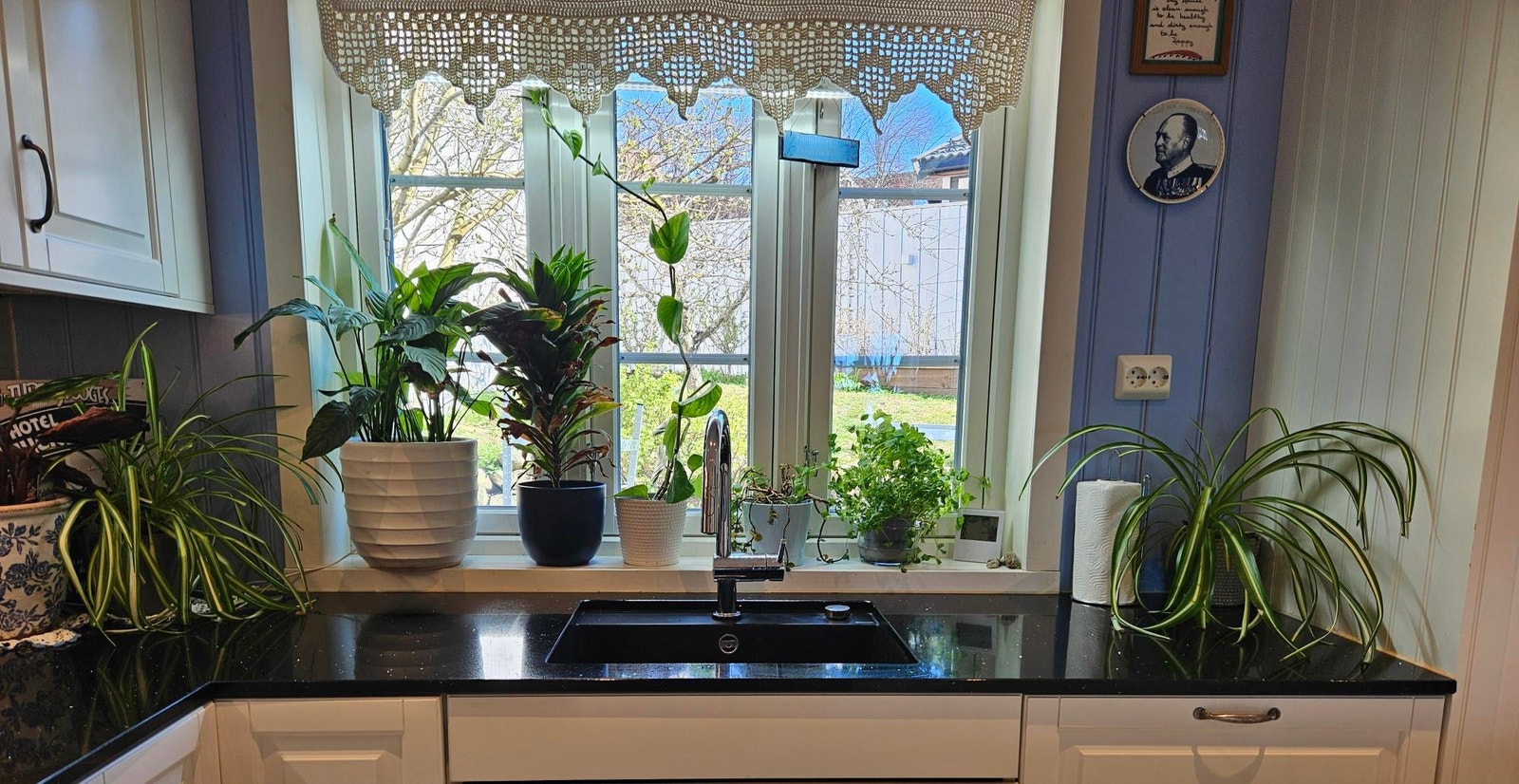 Med utsikt til hagen Galleribilde