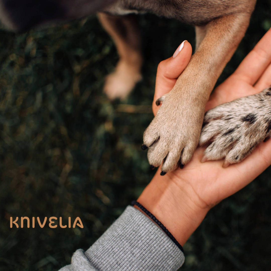 Knivelia skal være for både store og små, for to- og firbente. Galleribilde