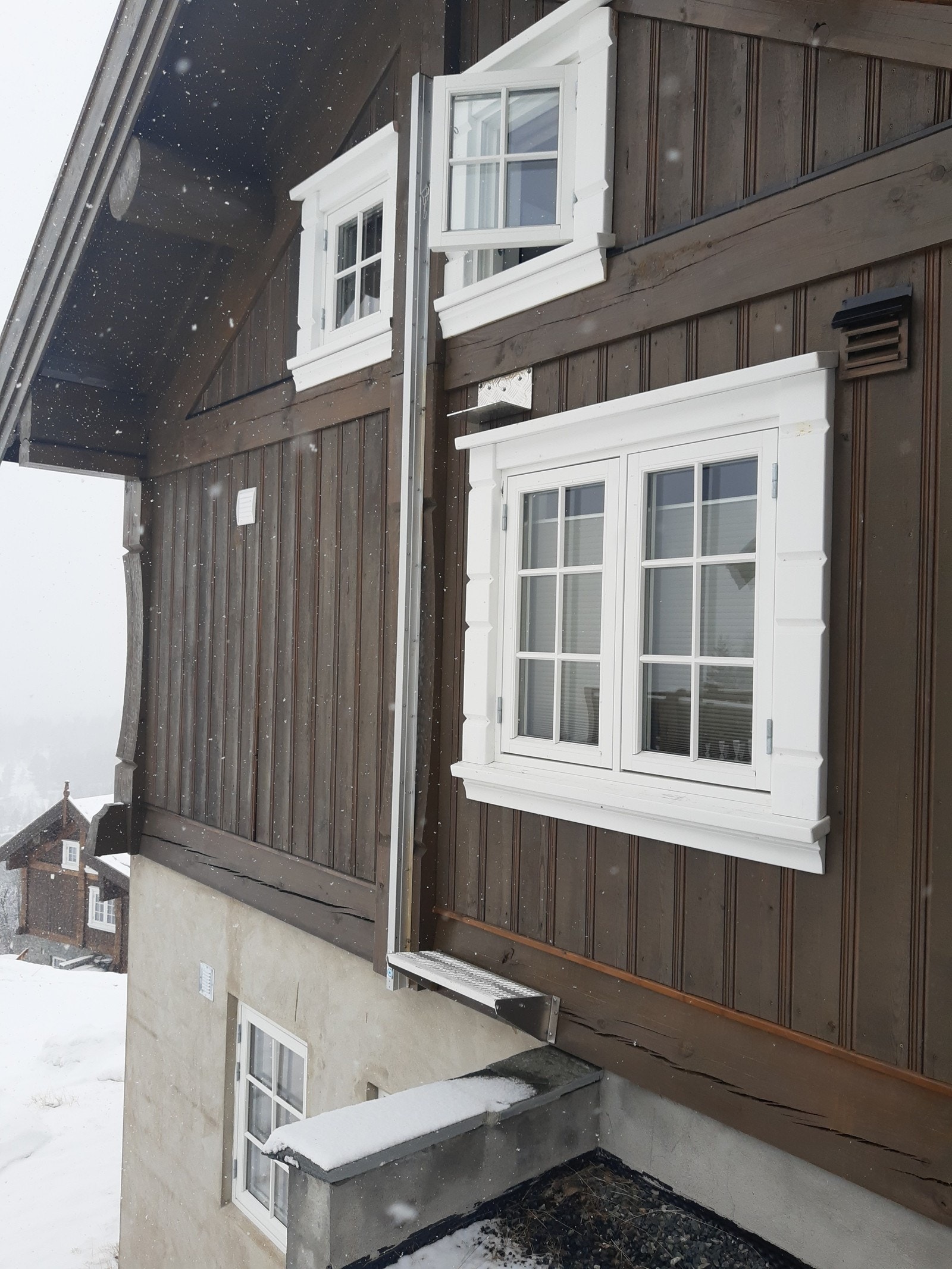 Fasade - bakside Galleribilde