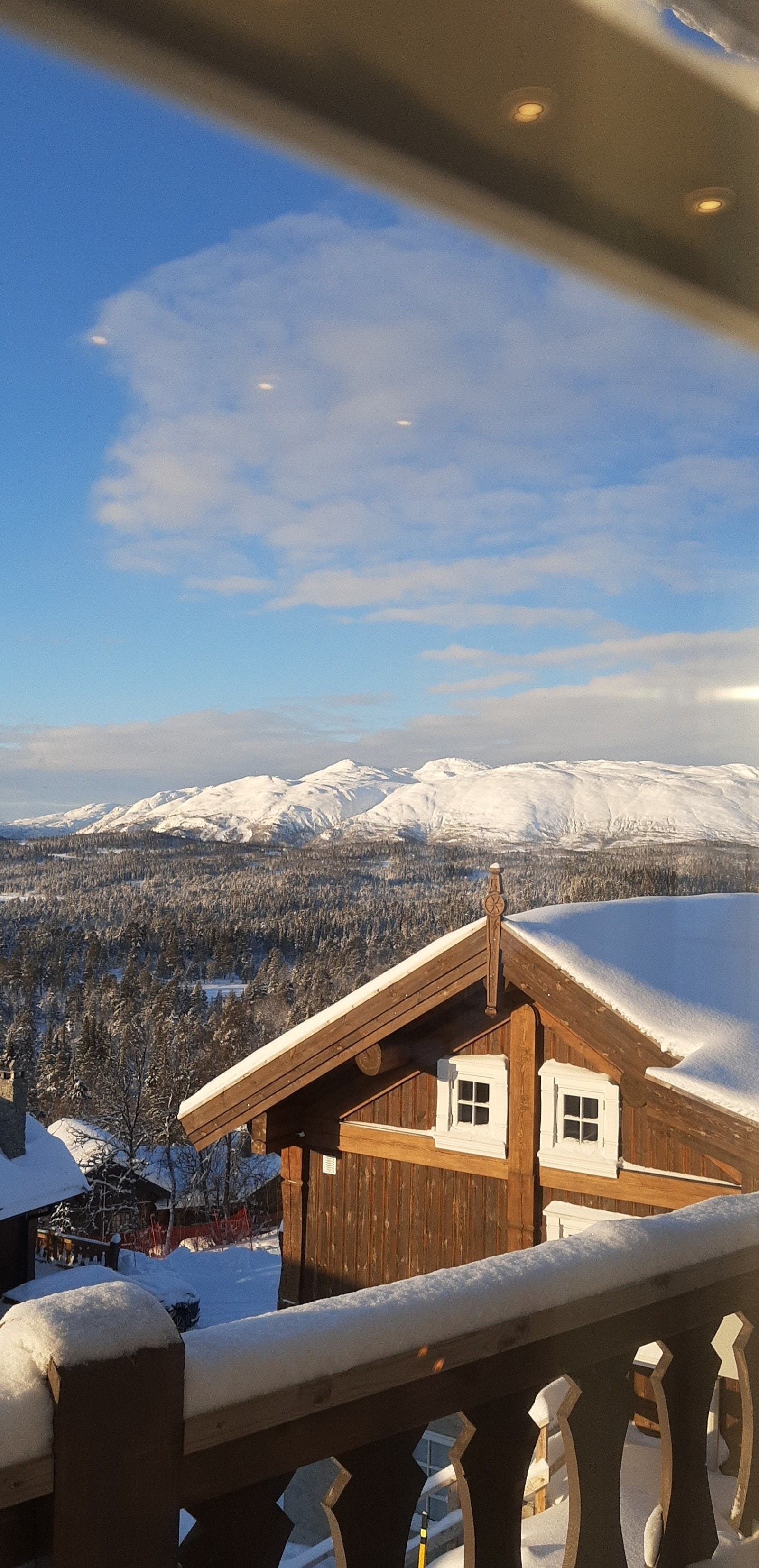 Utsikt vinter Galleribilde