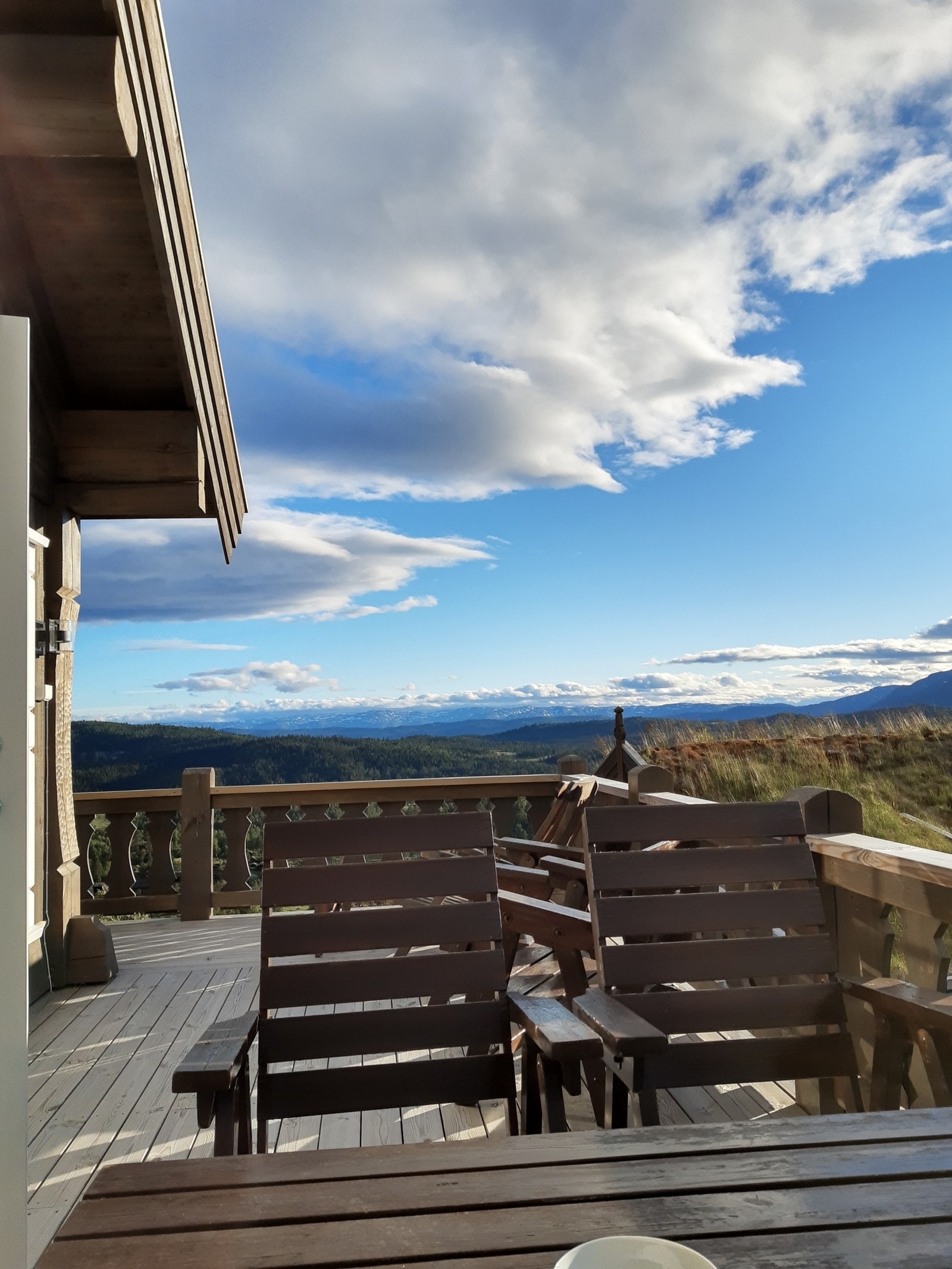 Utsikt sommer Galleribilde