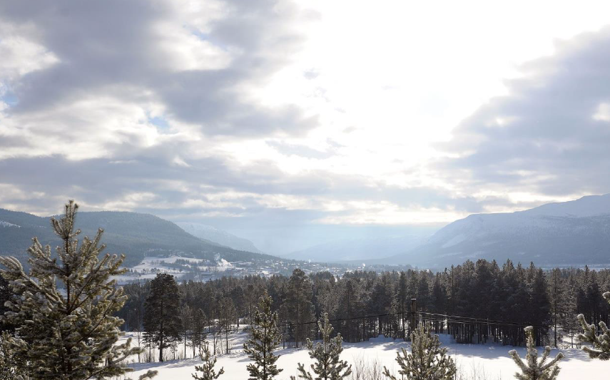Vintertid i Alvdal Galleribilde