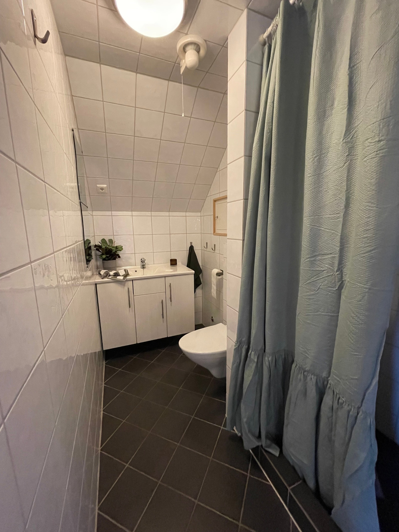 Badet med dusj og toalett Galleribilde