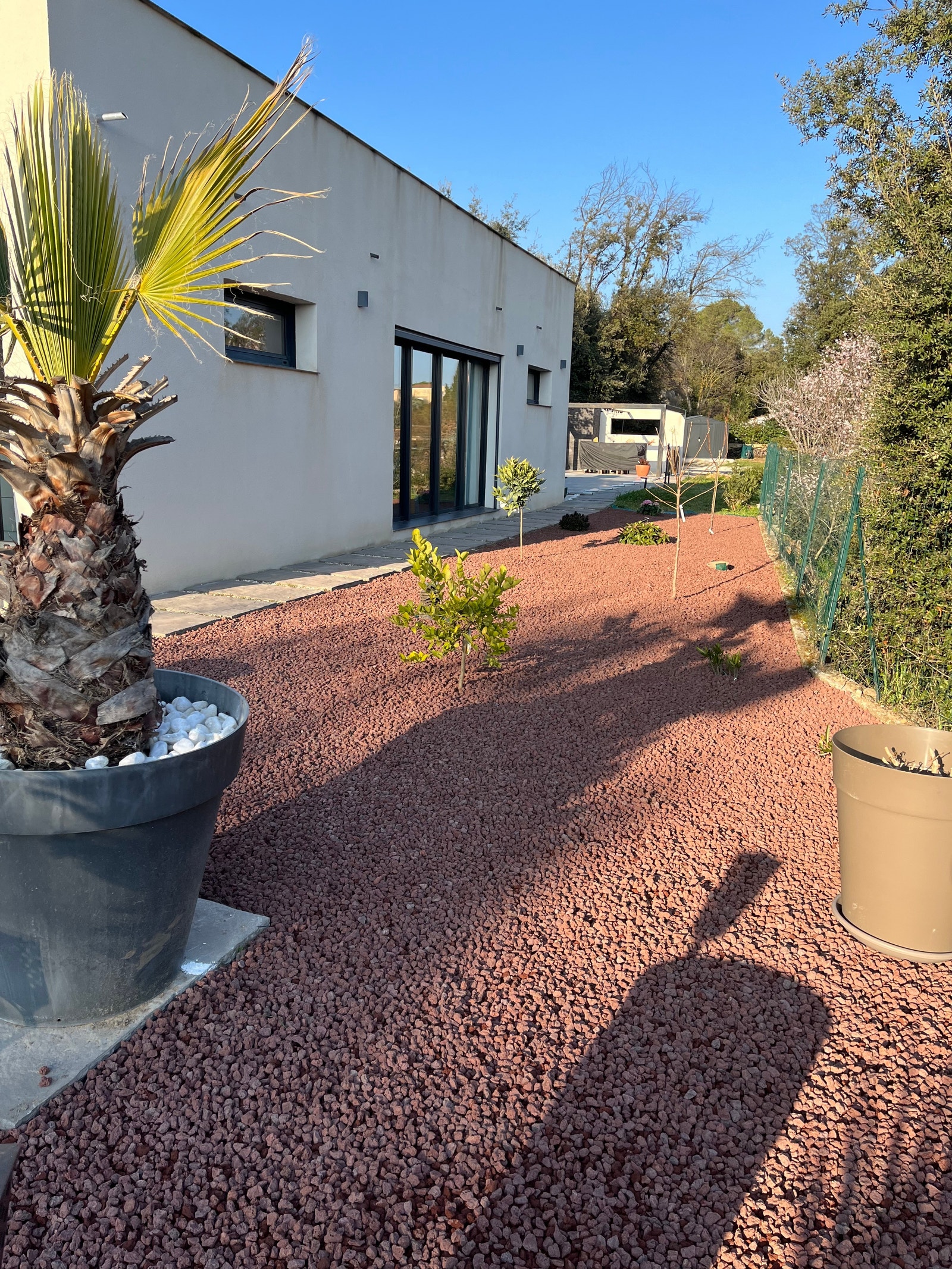 Nytt uteområde med bl a sitrustrær Galleribilde