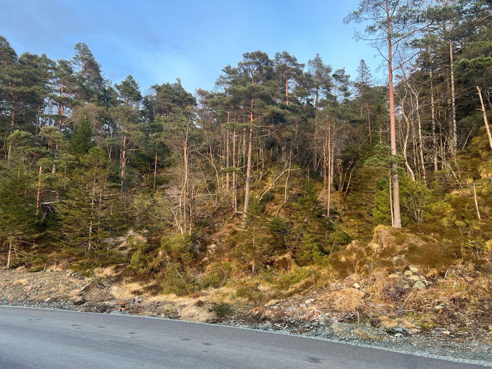 Tomten går fra rødmarkert pinne til venstre til litt utenfor bildet til høyre. Galleribilde