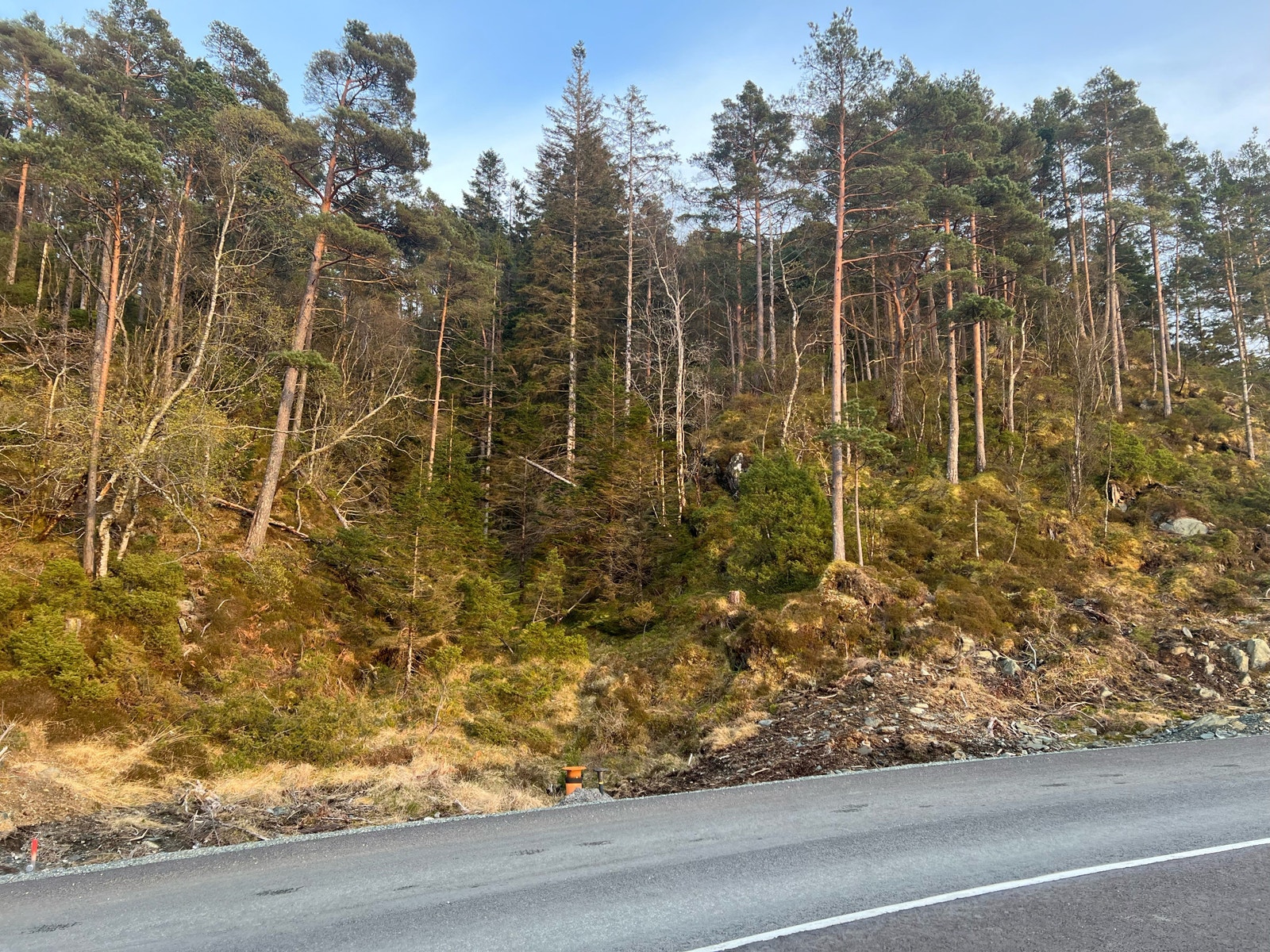 Kan planere og bygge slik tomten er i dag, men er også mange muligheter for å få utnyttet tomten på en bedre måte. Støttemur, og høyere planeringshøyde, eller sprenge deler av bergknausen til høyre. Galleribilde