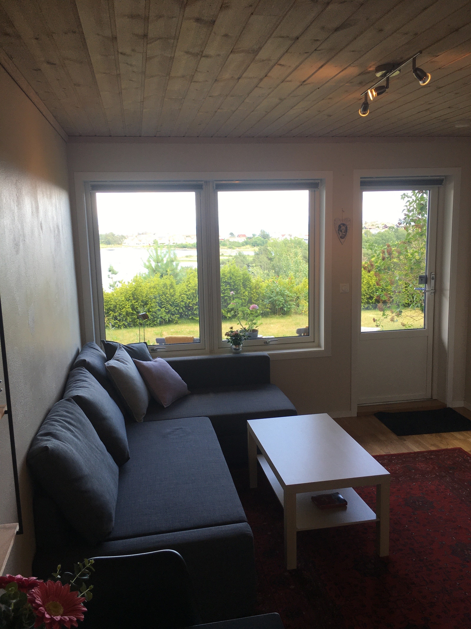 Utsikt fra sofaen Galleribilde