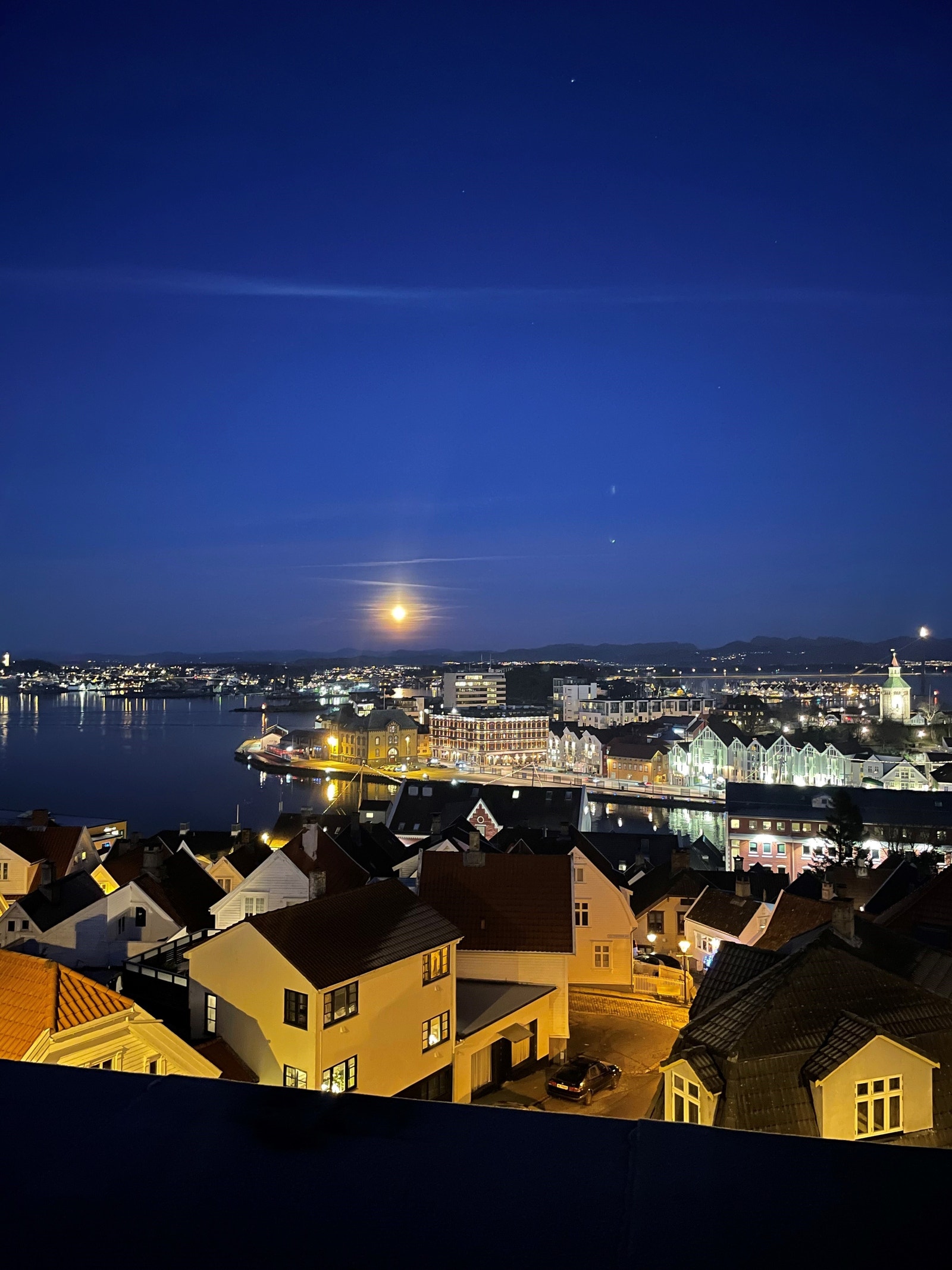 Fra takterrassen Galleribilde