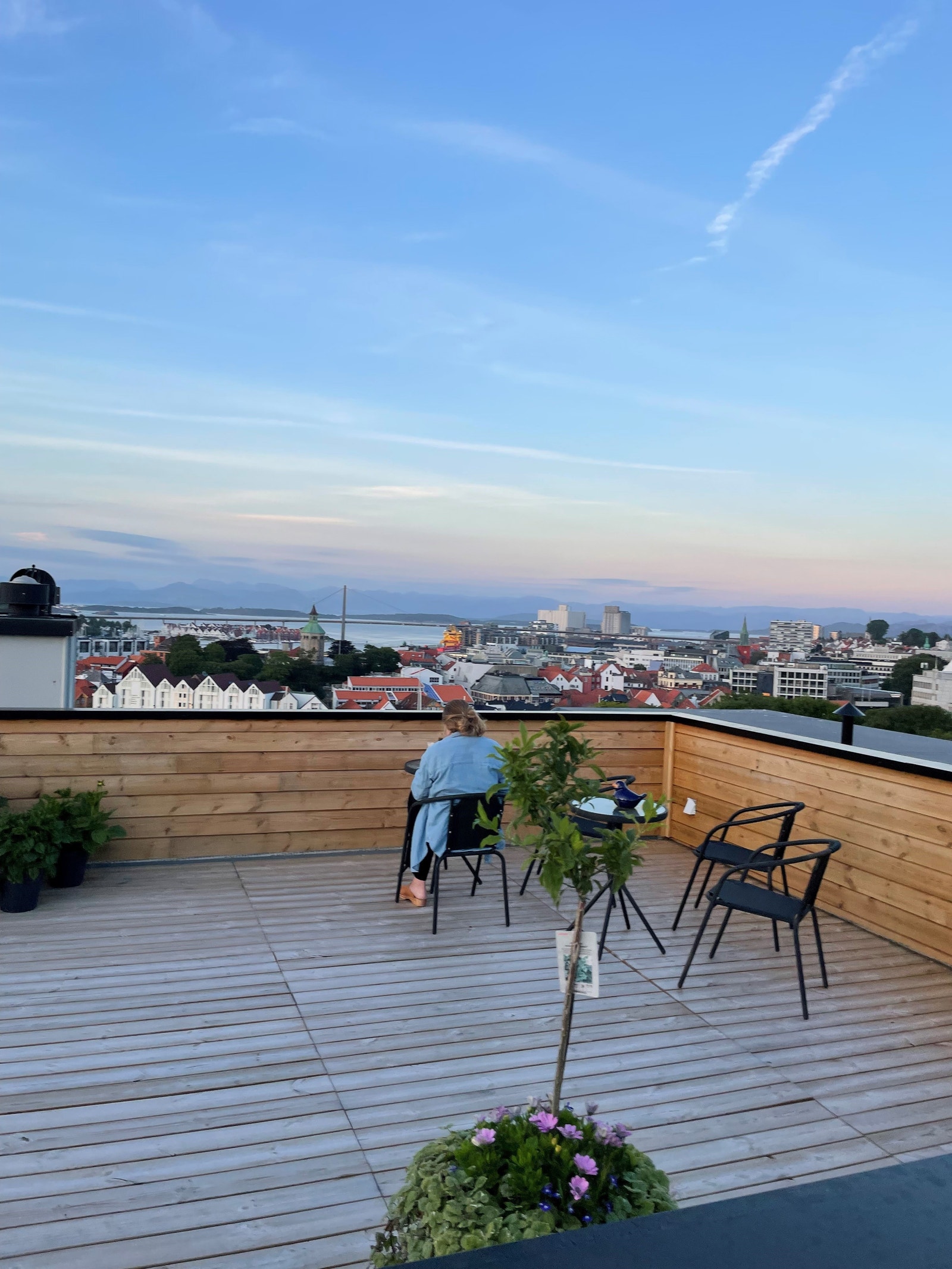 Fra takterrassen Galleribilde