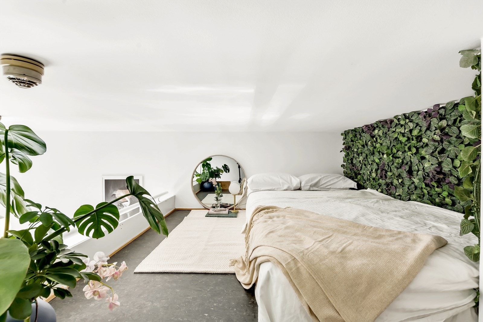 Innbygd og hyggelig hems med herlig jungel-stemning Galleribilde