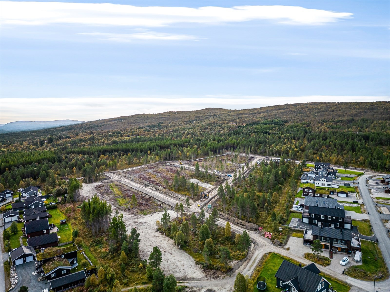 Gjøsvika V. Galleribilde