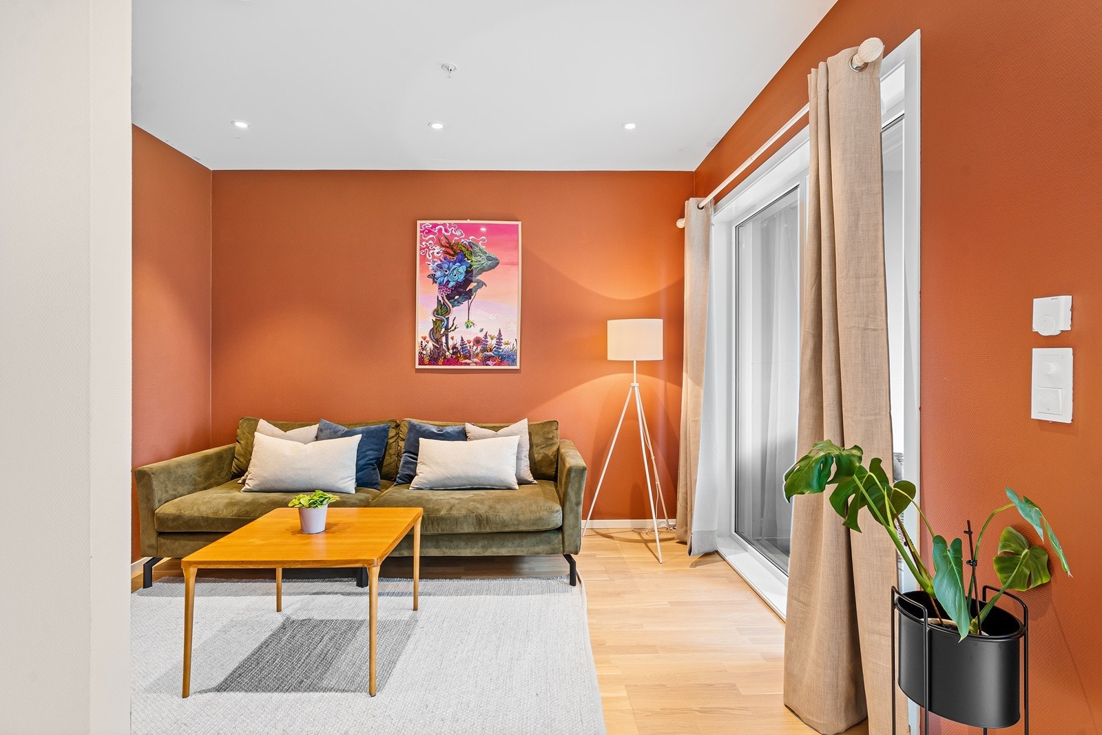 Tv-krok. Galleribilde