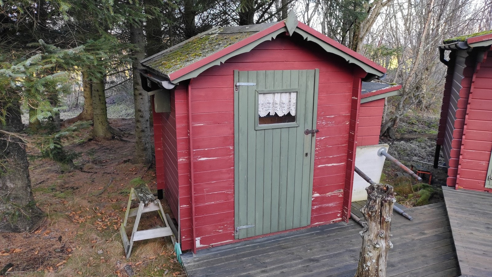 4904384_1-bzxptb1.jpg Galleribilde