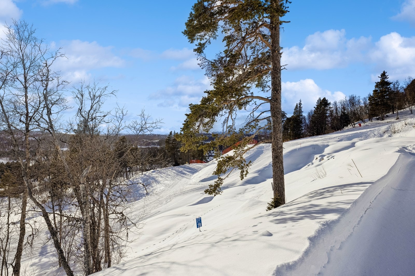 Det er minst like fantastisk på Rauland sommer og høst som det er vinter og vår. Se salgsoppgave for ytterlige info. Galleribilde