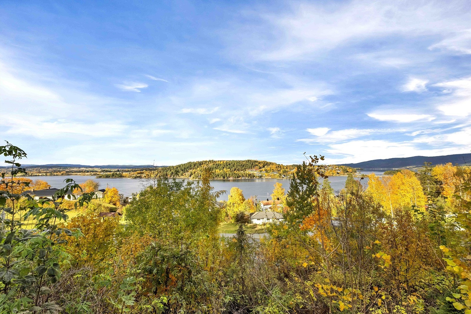 På varme sommerdager kan man spasere ned til Tyrifjorden for å kjøle seg ned med et bad. Galleribilde