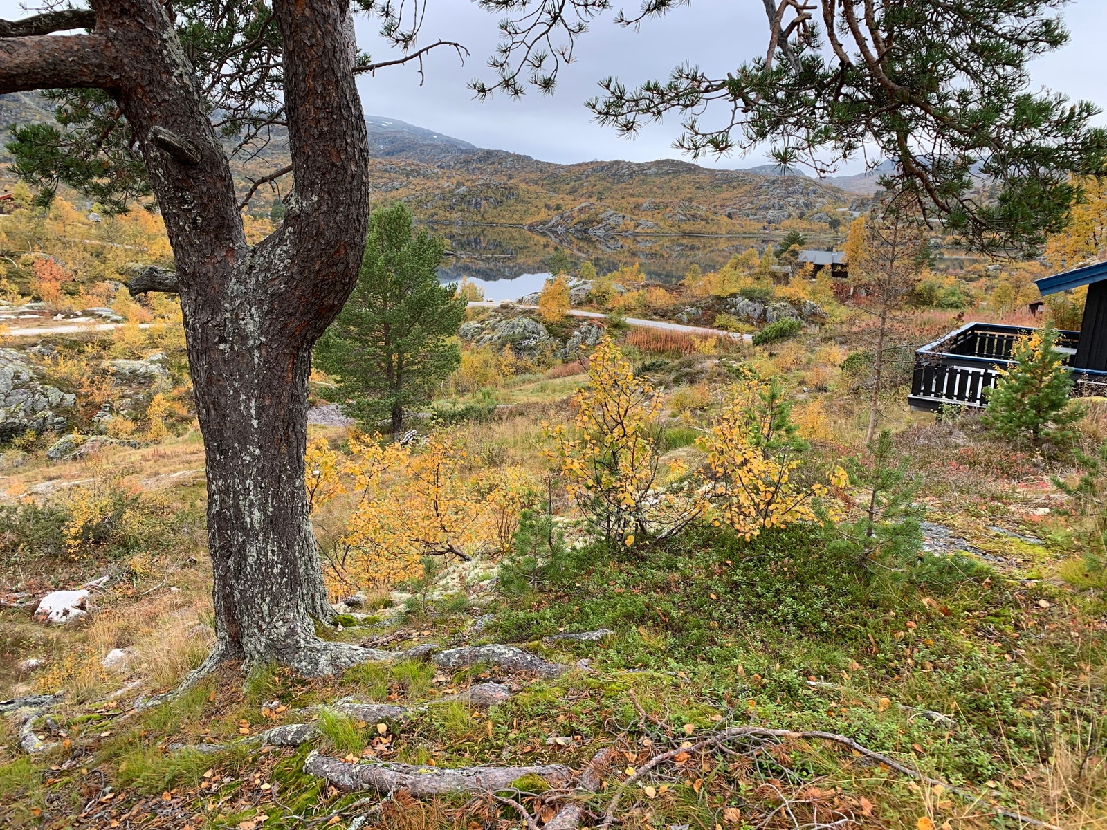 Utsikt fra hyttefeltet vestover mot Eivindbuvatn Galleribilde