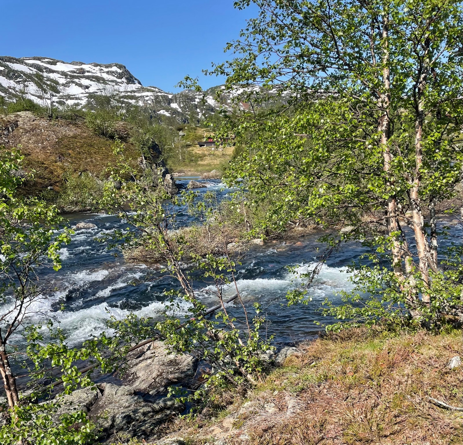Fra elva mellom Eivindbuvatn og Arbuvatn Galleribilde