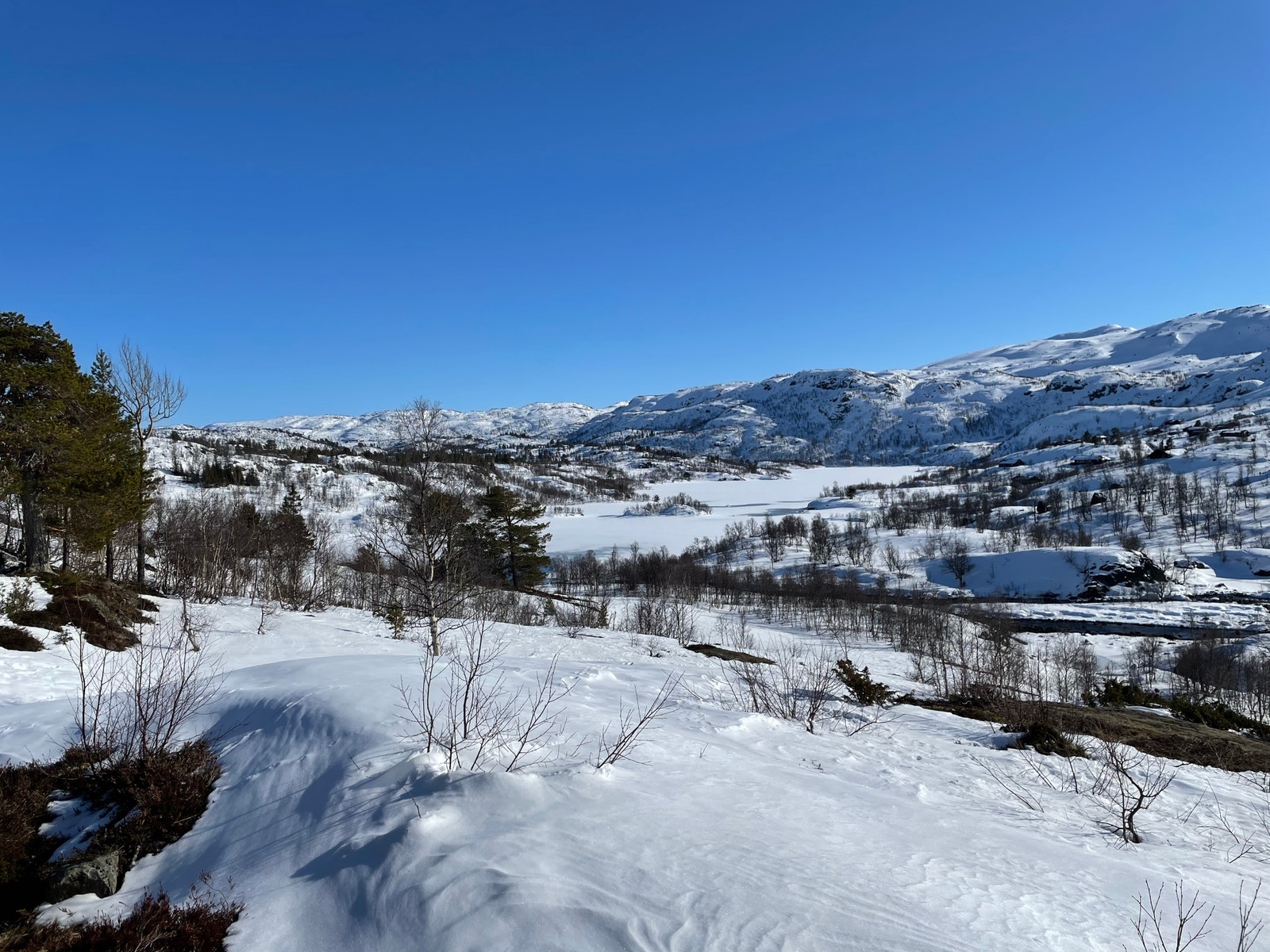Utsikt mot Arbuvatn Galleribilde