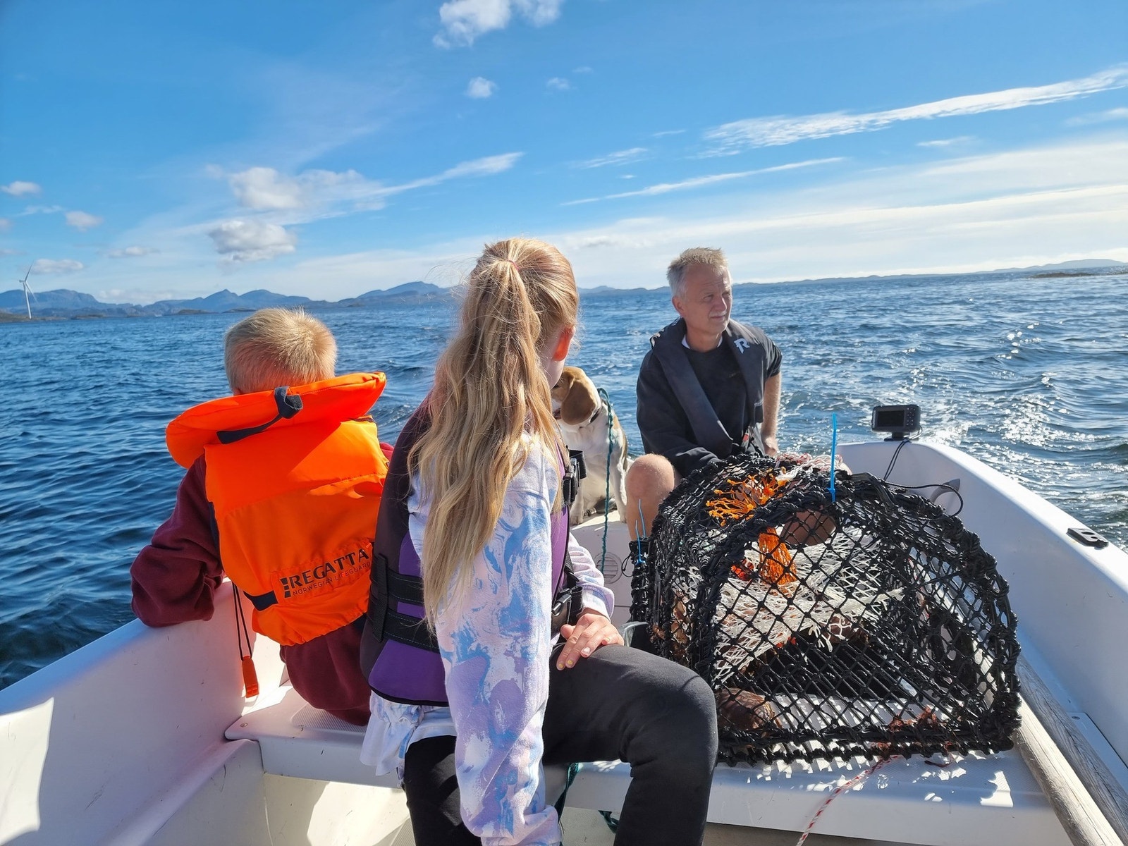 Krabbefiske Galleribilde