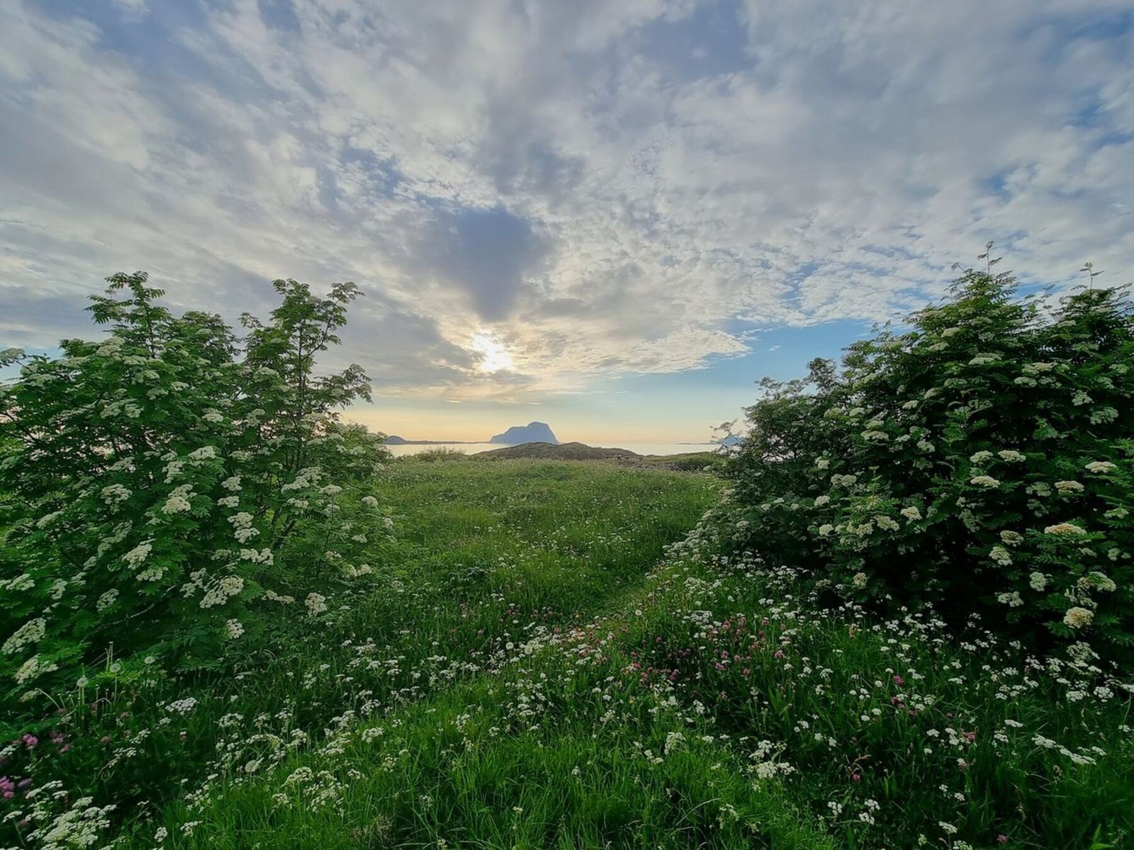 Tursti i nærområdet Galleribilde