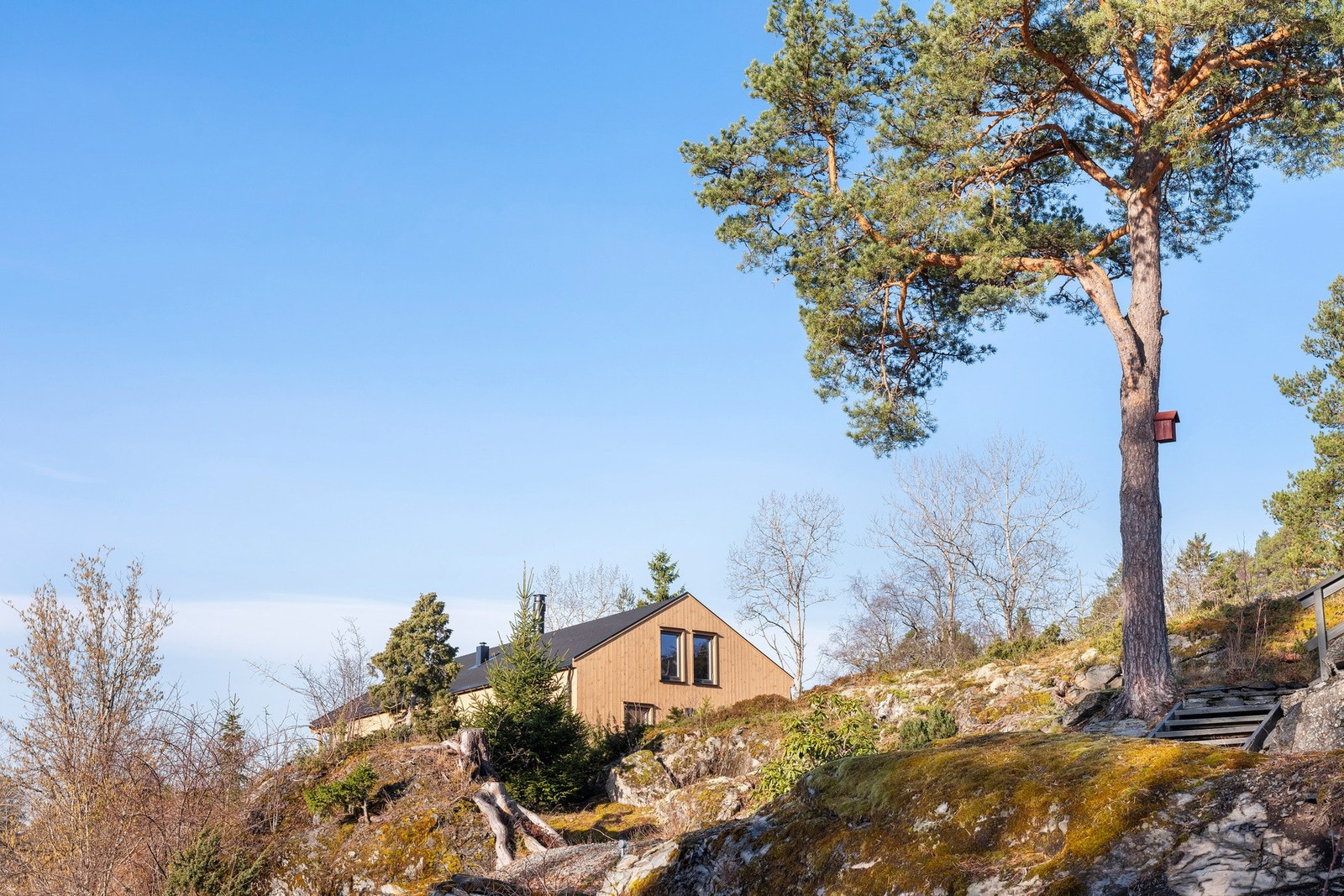 Velkommen til en hyggelig visning! Galleribilde